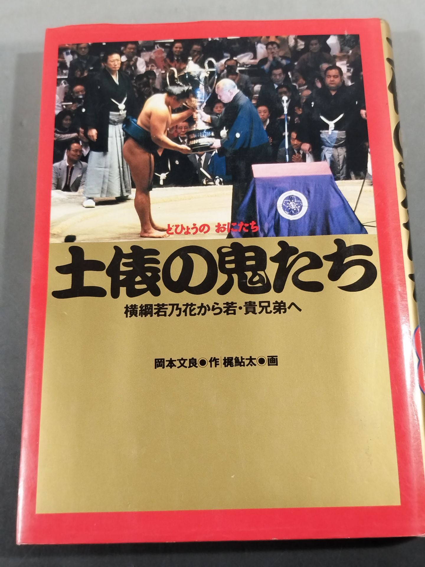 土俵の鬼たち 横綱若乃花から若・貴兄弟へ