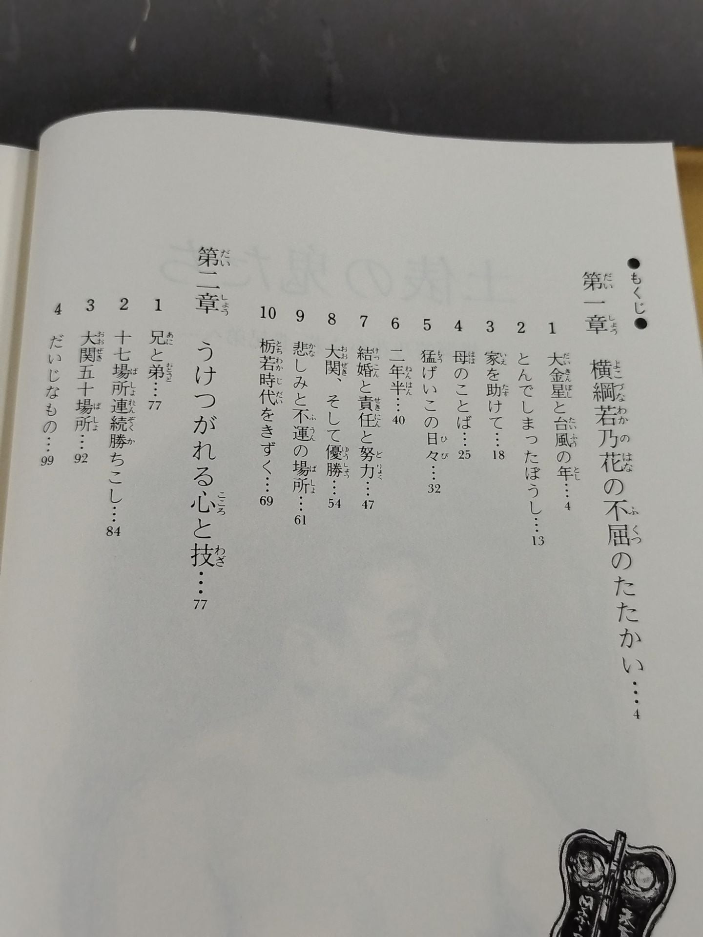 土俵の鬼たち 横綱若乃花から若・貴兄弟へ