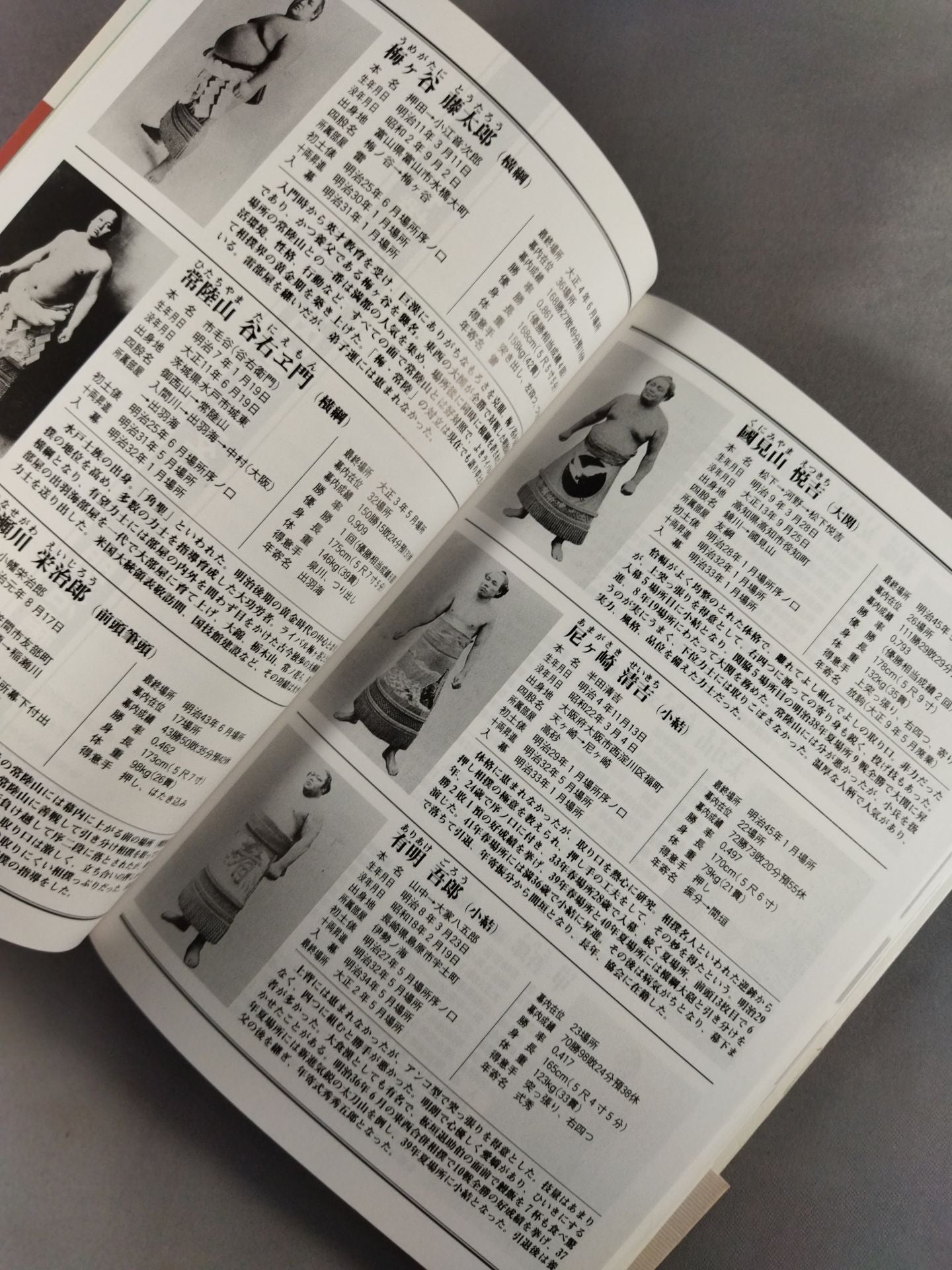 Heisei 23 edition Sumo wrestler directory