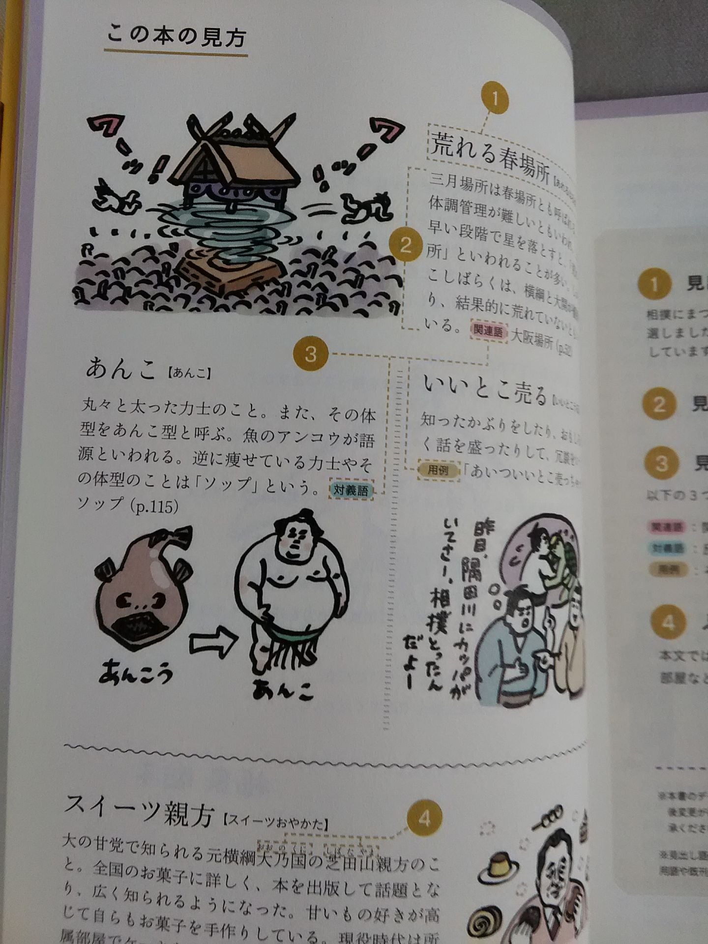 Sumo Dictionary