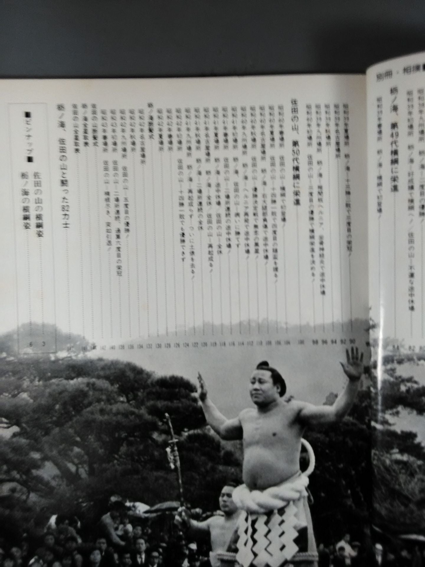 Showa Famous Yokozuna Series(11) Sadanoyama Shinmatsu Akiyoshi Tochinoumi