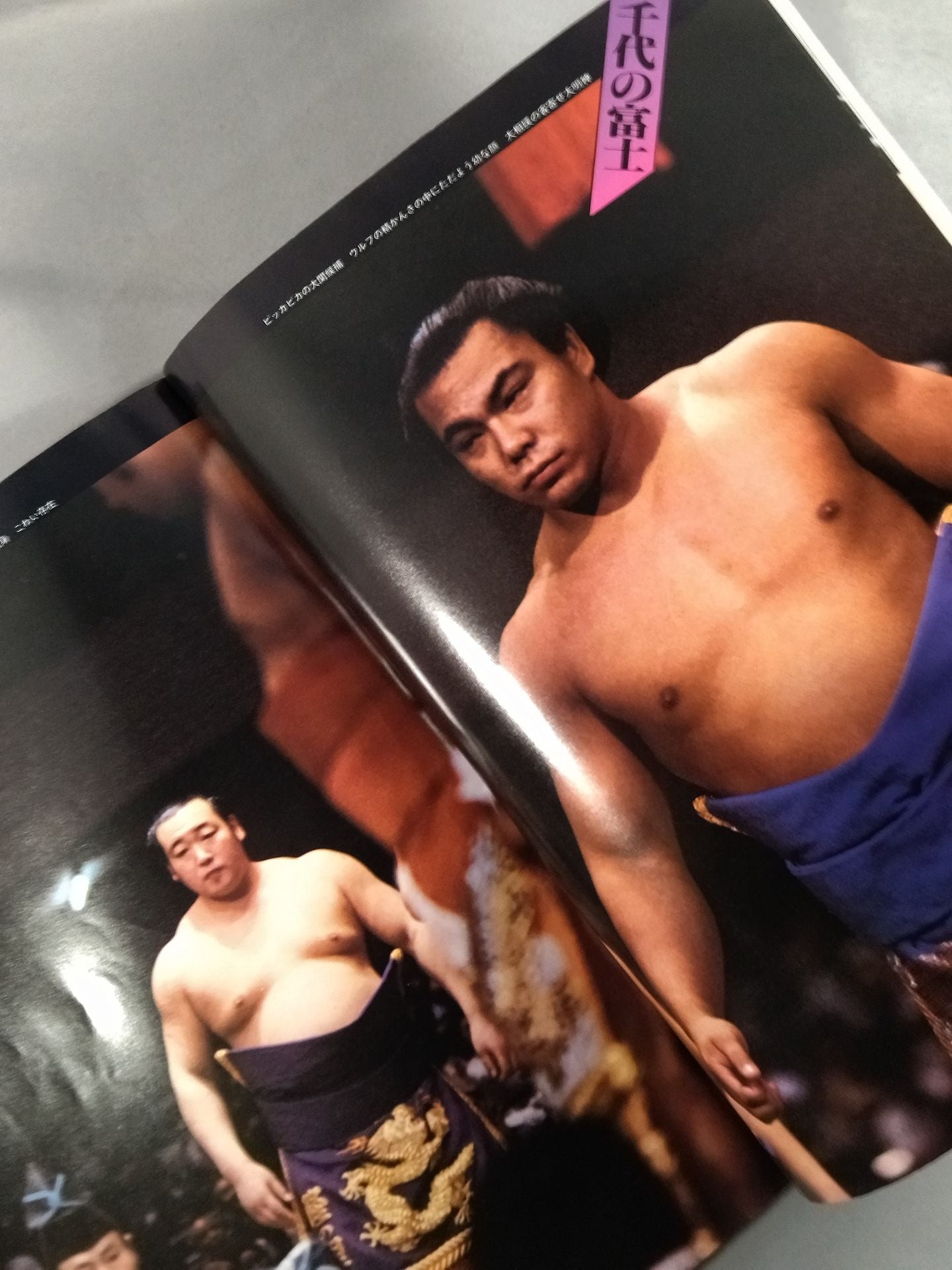 大相撲写真画報 戦後激闘の35年大相撲の100人