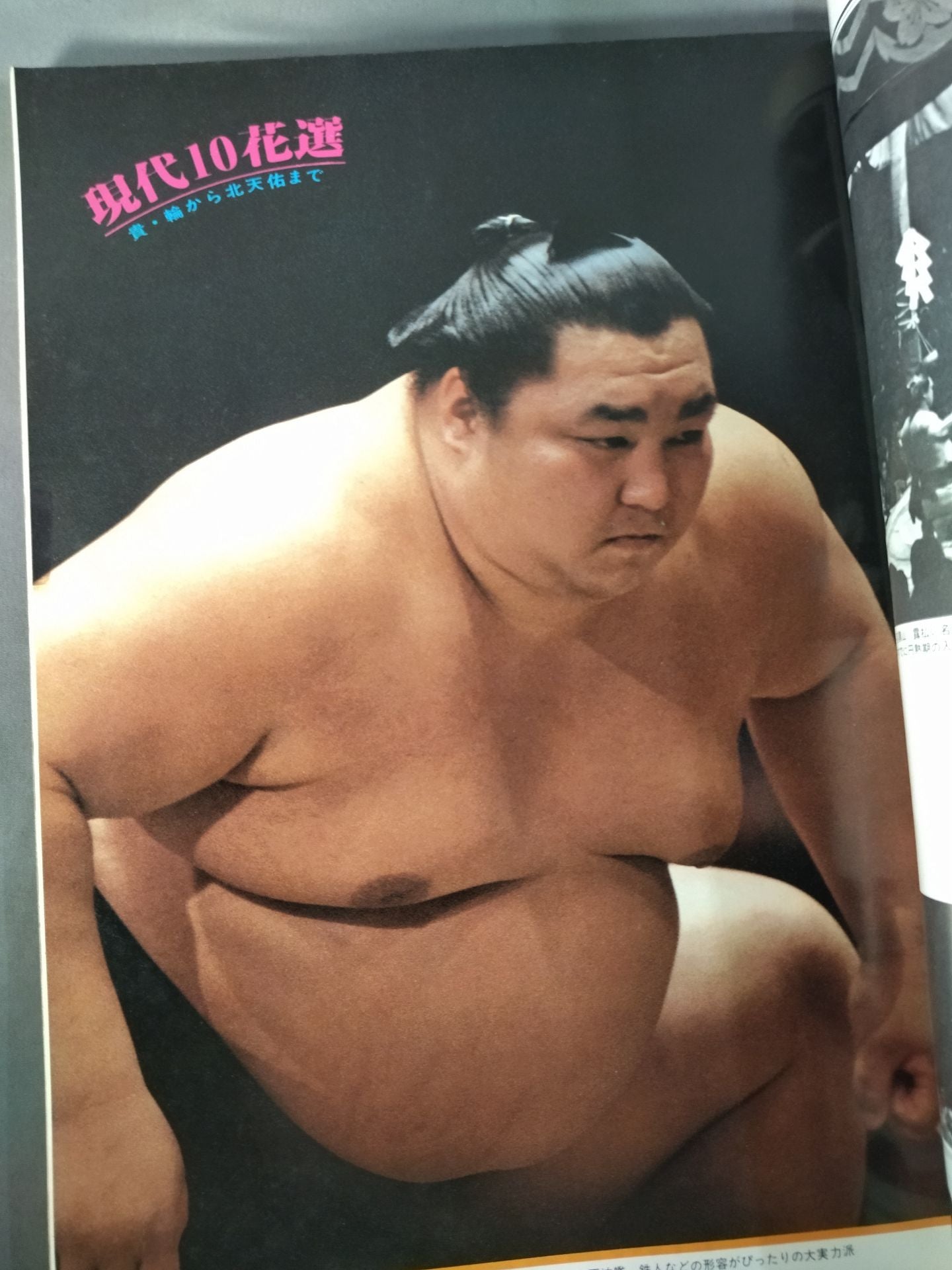 Sumo photo report 100 famous Sumo wrestlers of the new Showa era