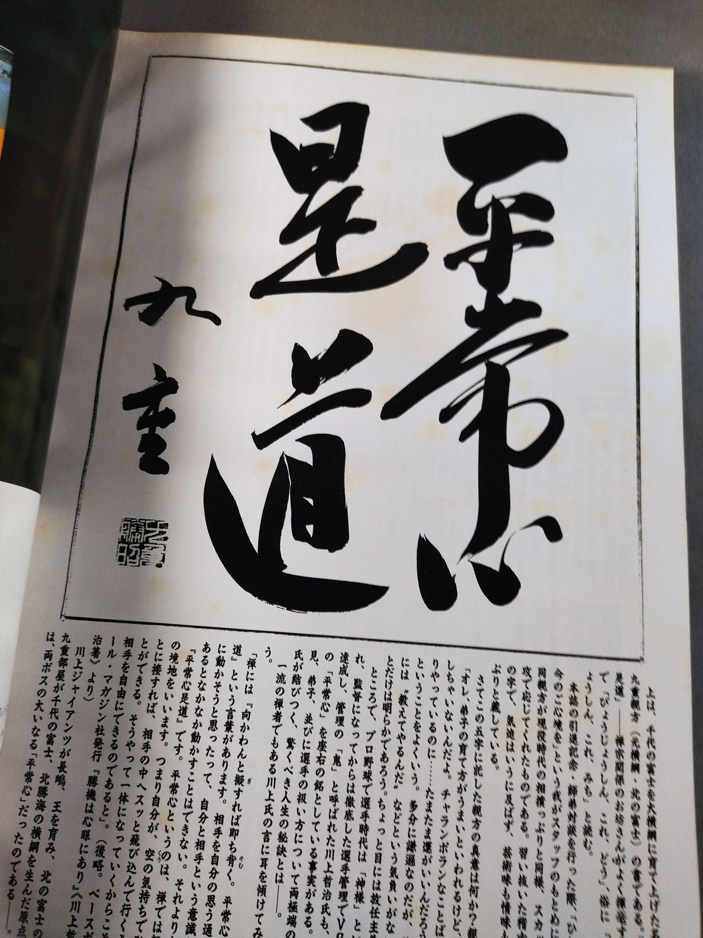 不滅の”ウルフ”千代の富士貢