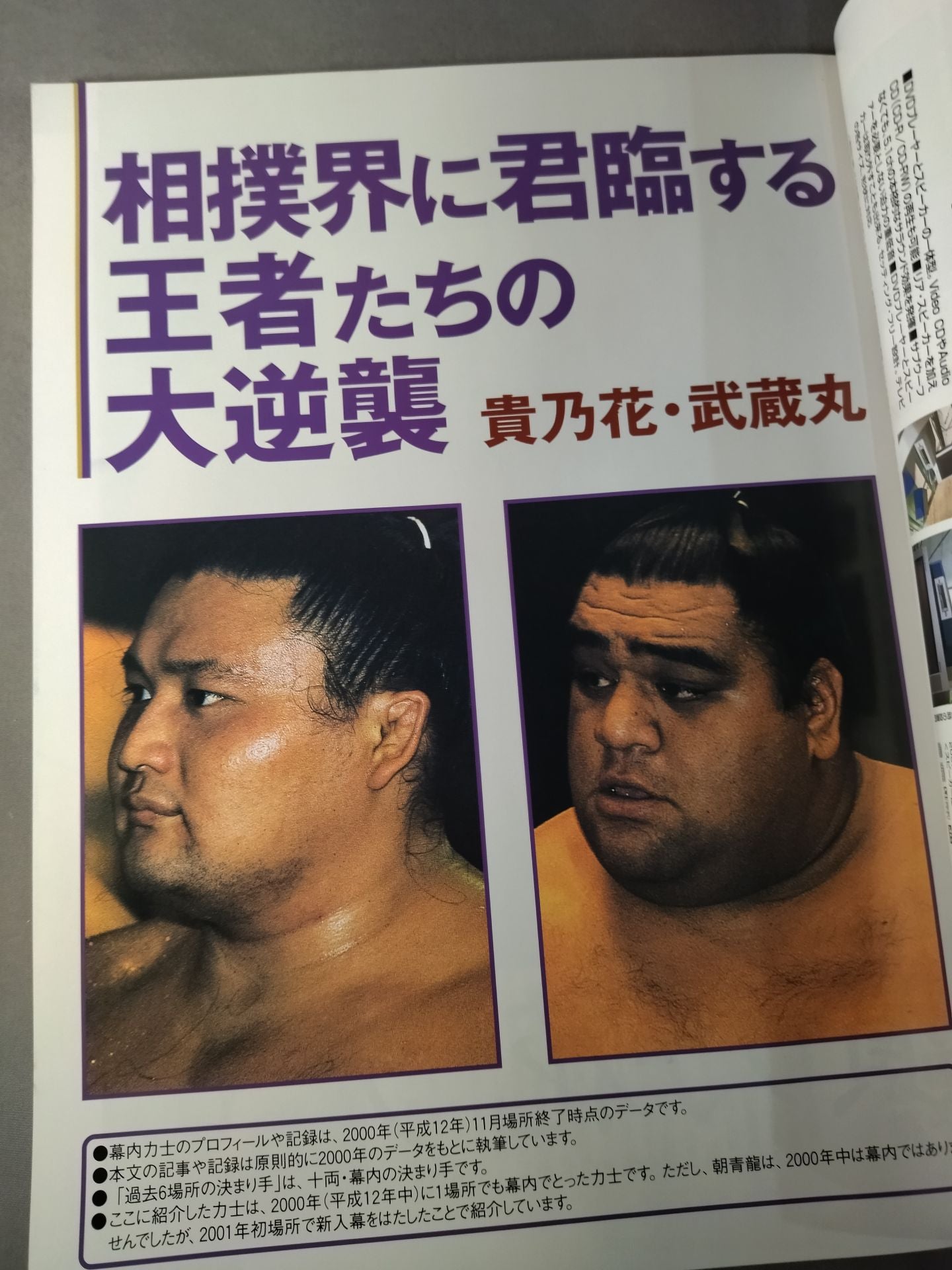 2001 大相撲年鑑 ~いま大相撲がおもしろい~ MOOK21