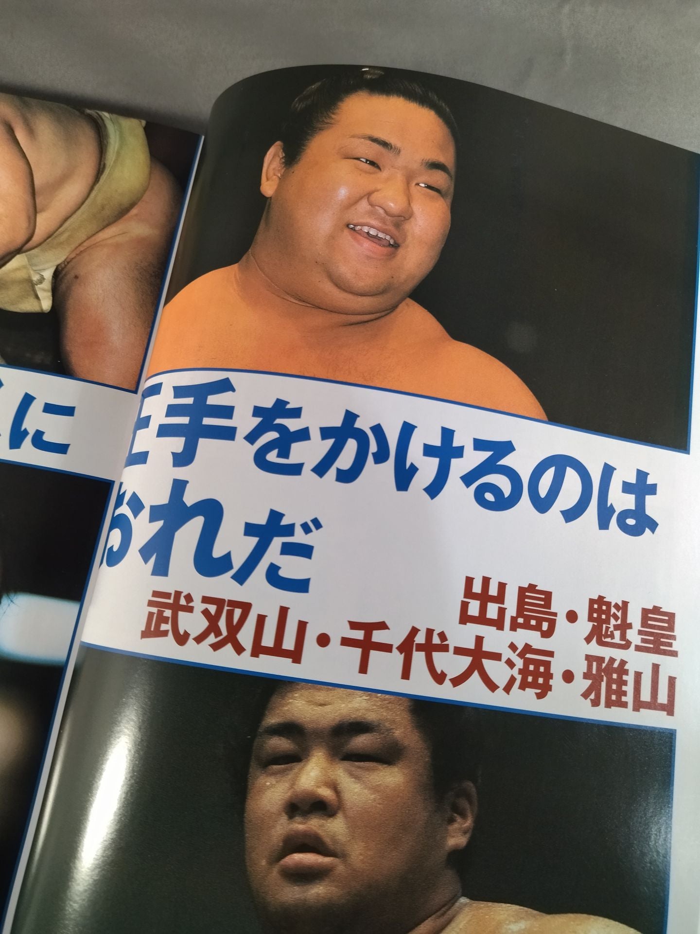 2001 大相撲年鑑 ~いま大相撲がおもしろい~ MOOK21