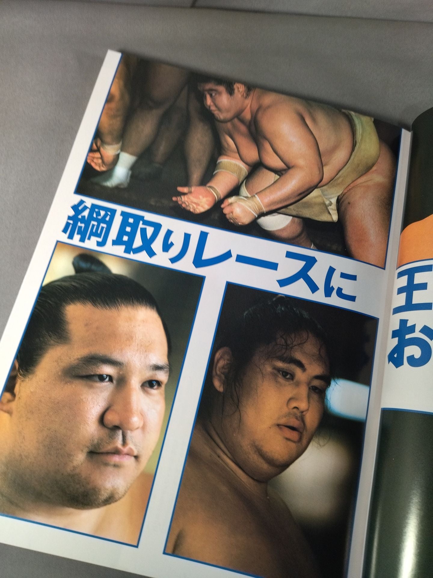 2001 大相撲年鑑 ~いま大相撲がおもしろい~ MOOK21
