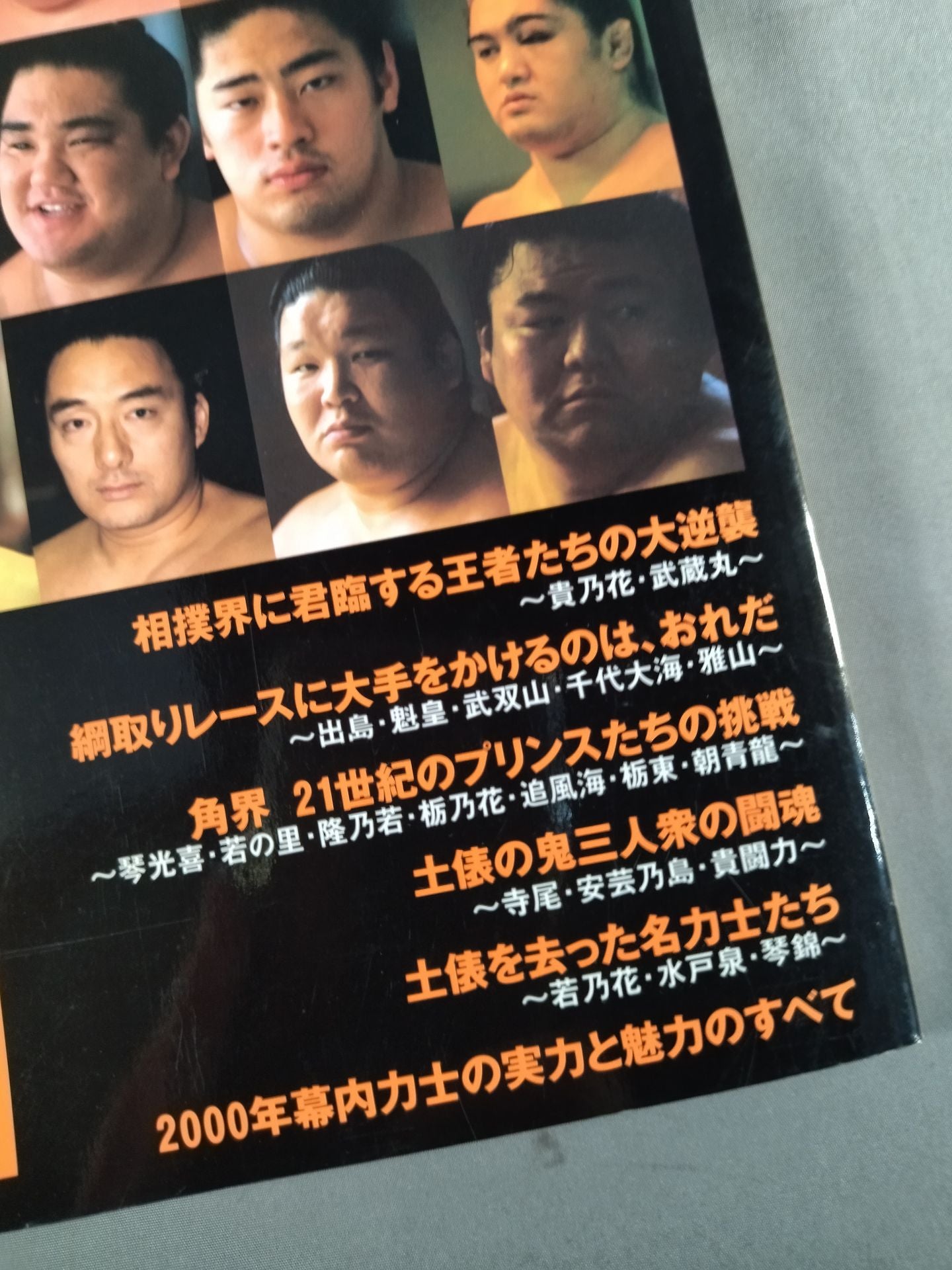 2001 大相撲年鑑 ~いま大相撲がおもしろい~ MOOK21