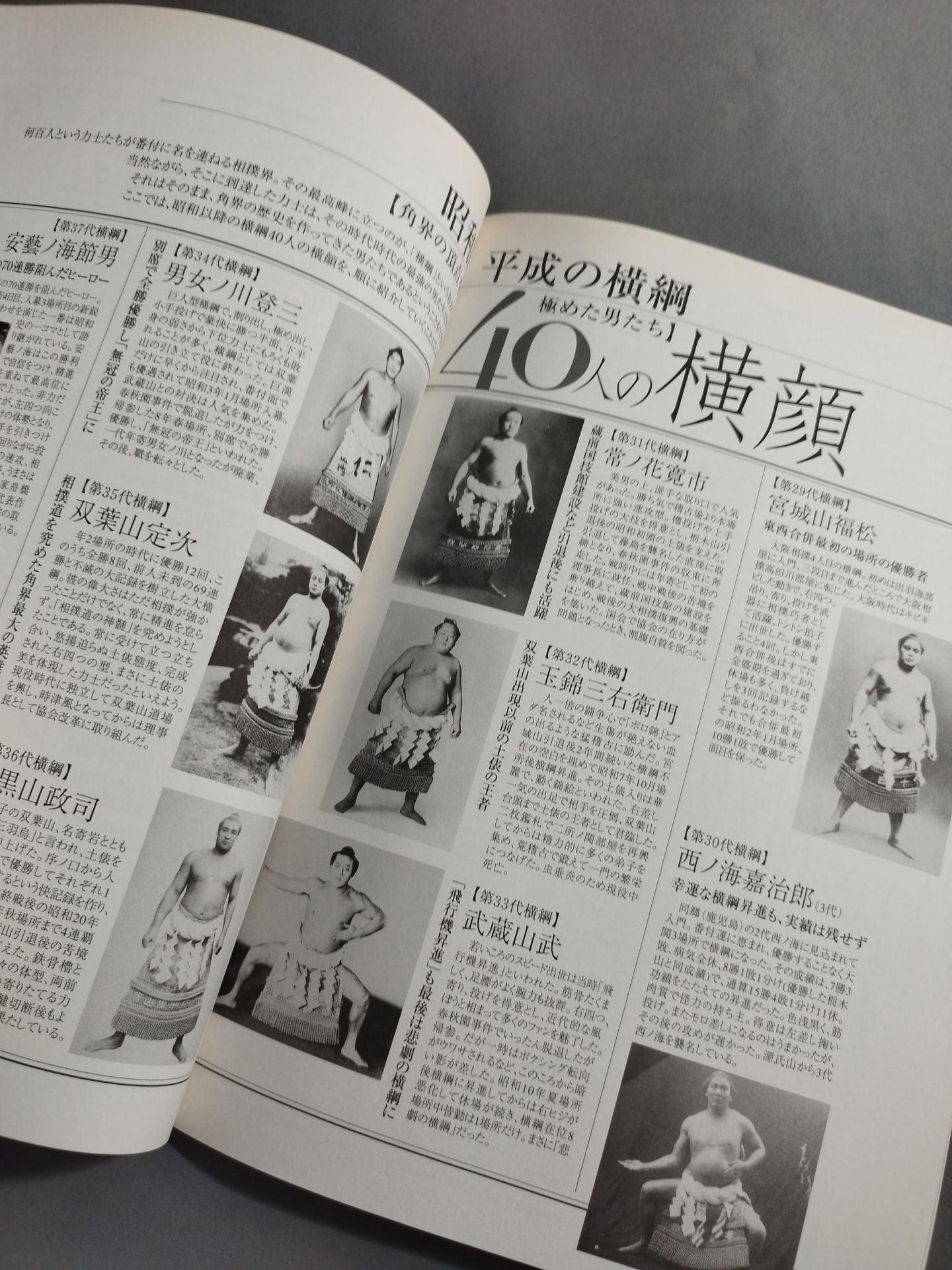 Introduction to Watching Sumo Wrestling for New Fans