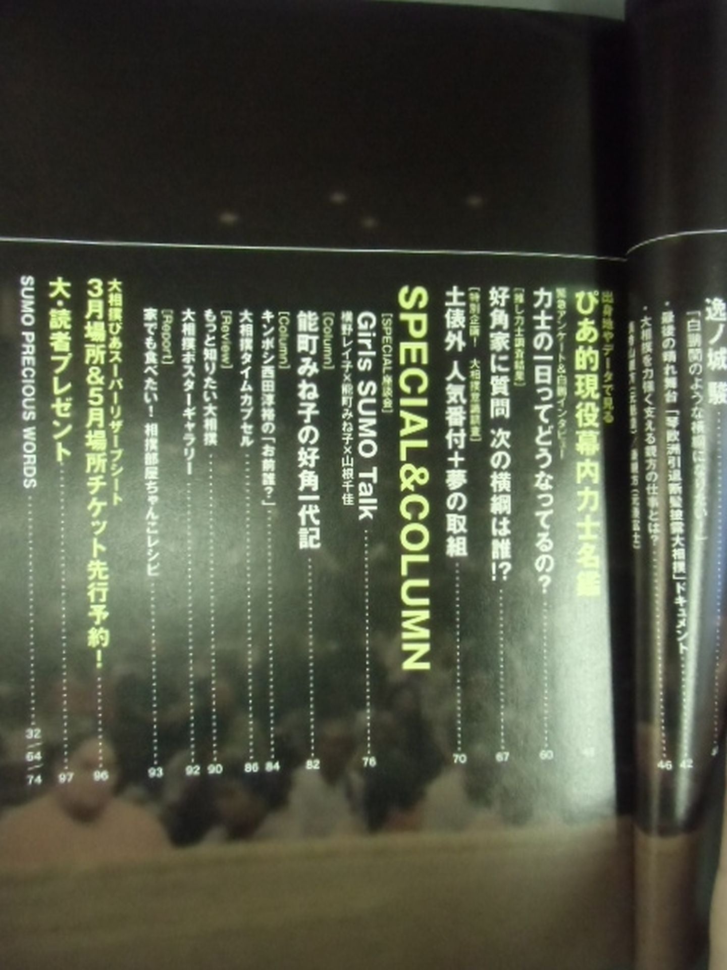 大相撲ぴあ 一冊まるごと「大相撲」 鶴竜 逸ノ城