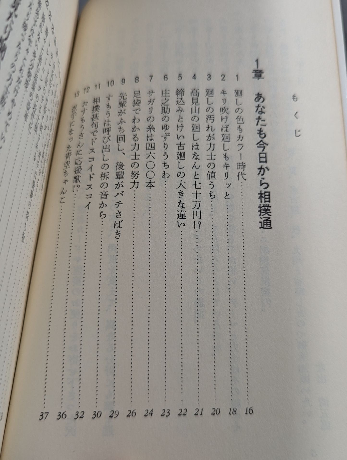 大相撲への招待 勝負から土俵裏まで