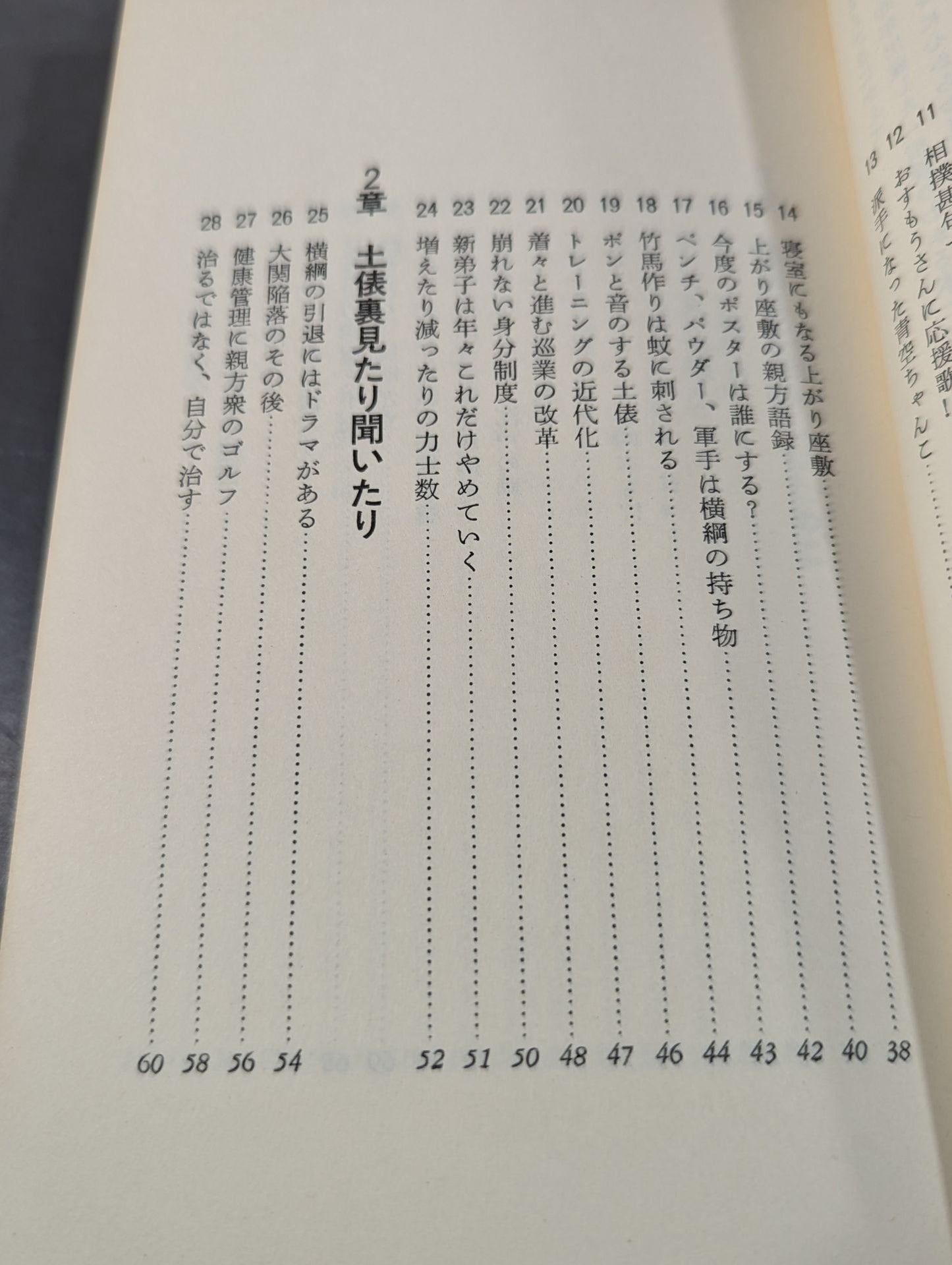 大相撲への招待 勝負から土俵裏まで