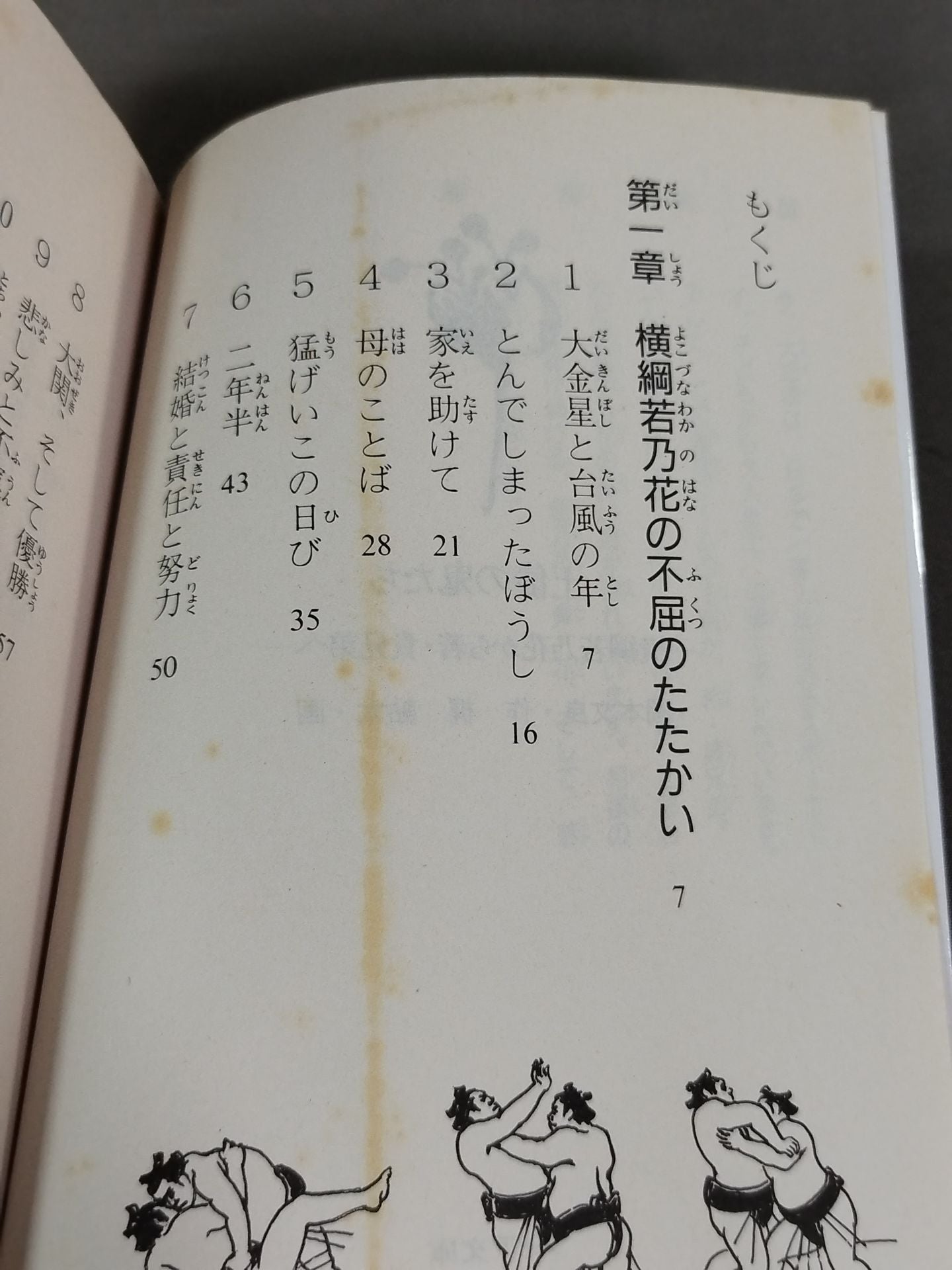 土俵の鬼たち 横綱若乃花から若・貴兄弟へ