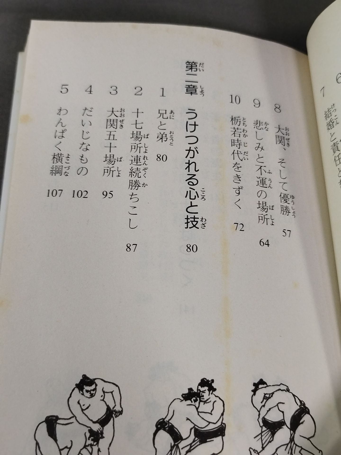 土俵の鬼たち 横綱若乃花から若・貴兄弟へ