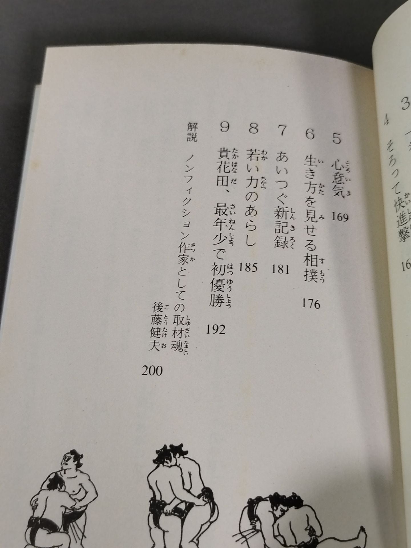 土俵の鬼たち 横綱若乃花から若・貴兄弟へ