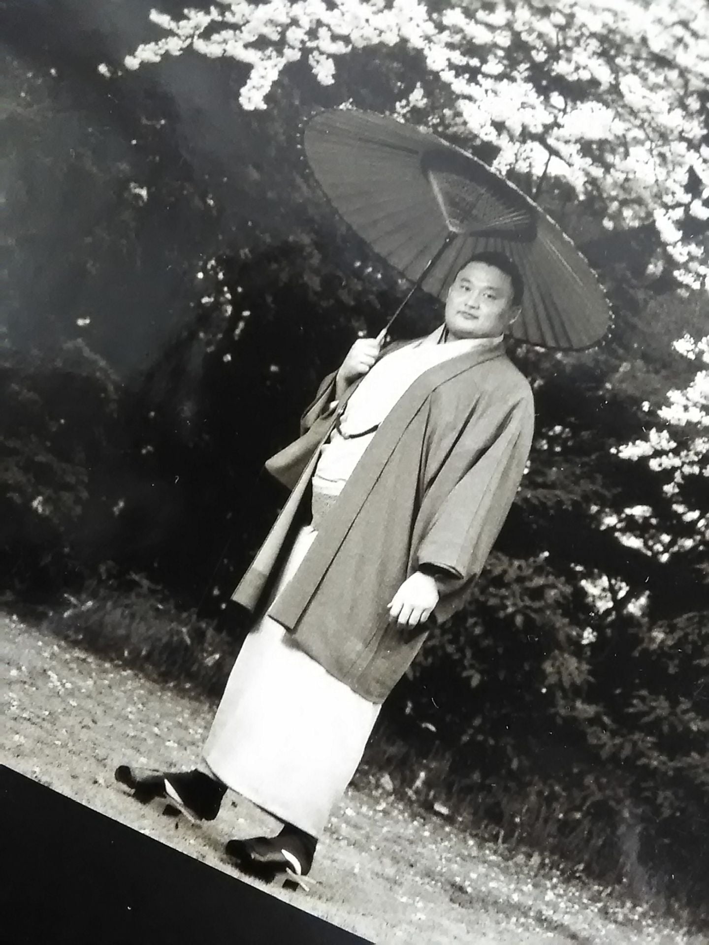 【Yokozuna Takanohana Retirement Commemorative Photo 】 Takanohana Road