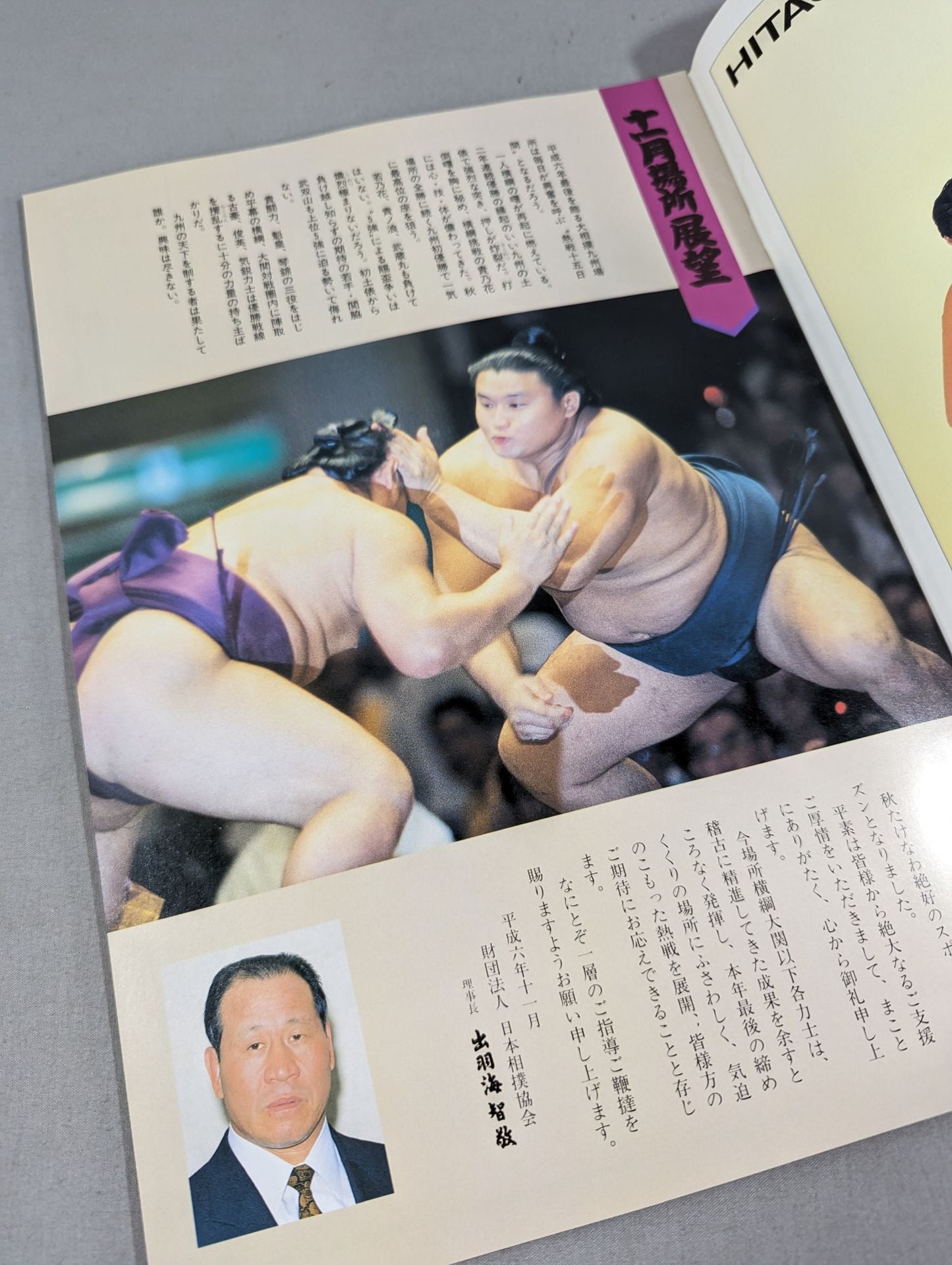 大相撲十一月場所(1994年)