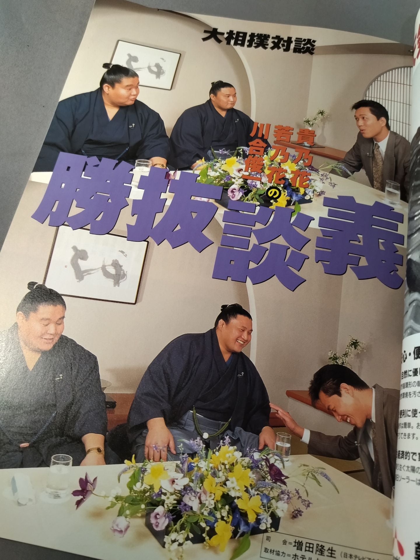 Heisei 8 Sumo Victory Match