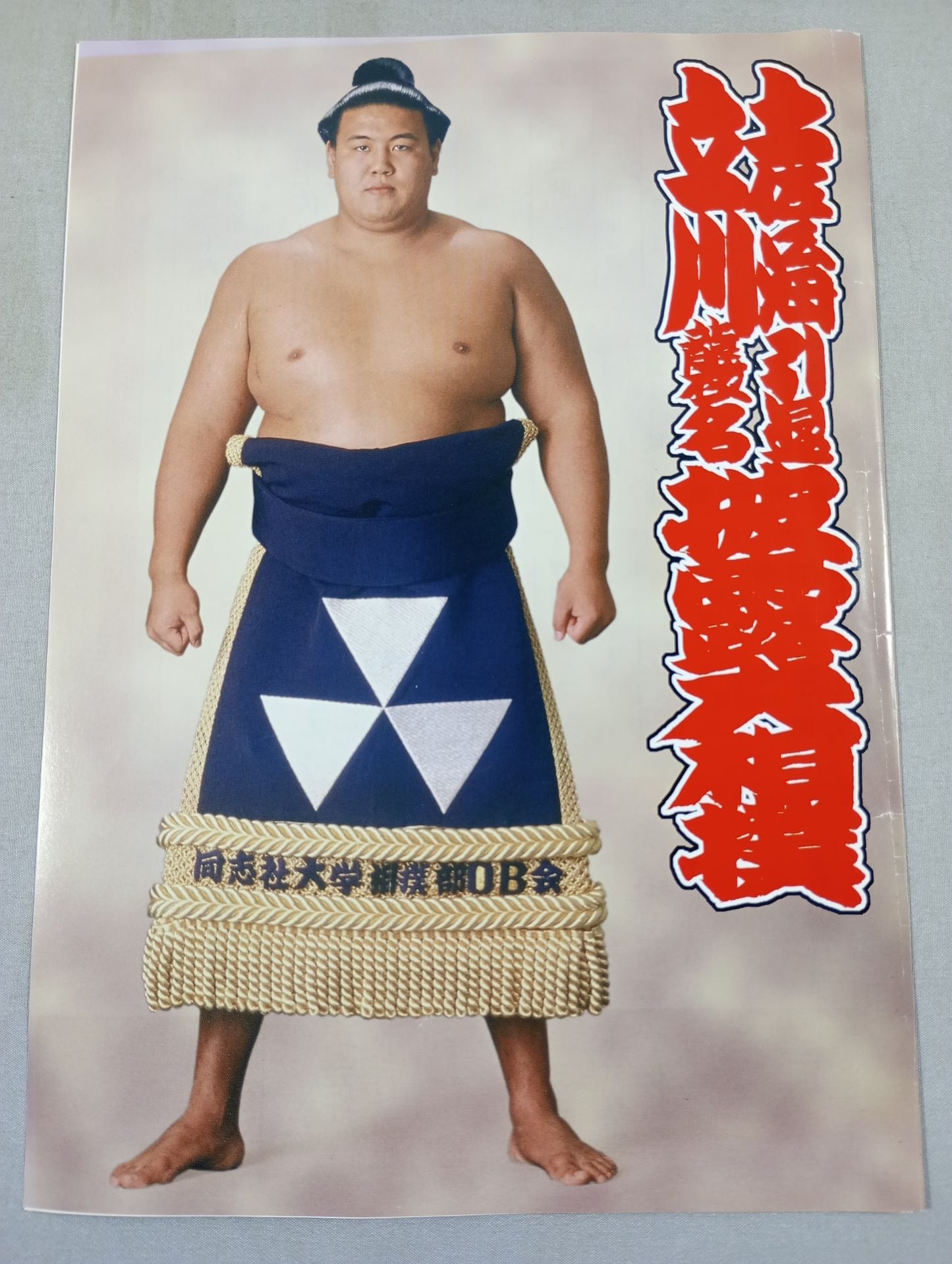 Tosanokai retirement, Tachikawa attack name show sumo wrestling list of matches