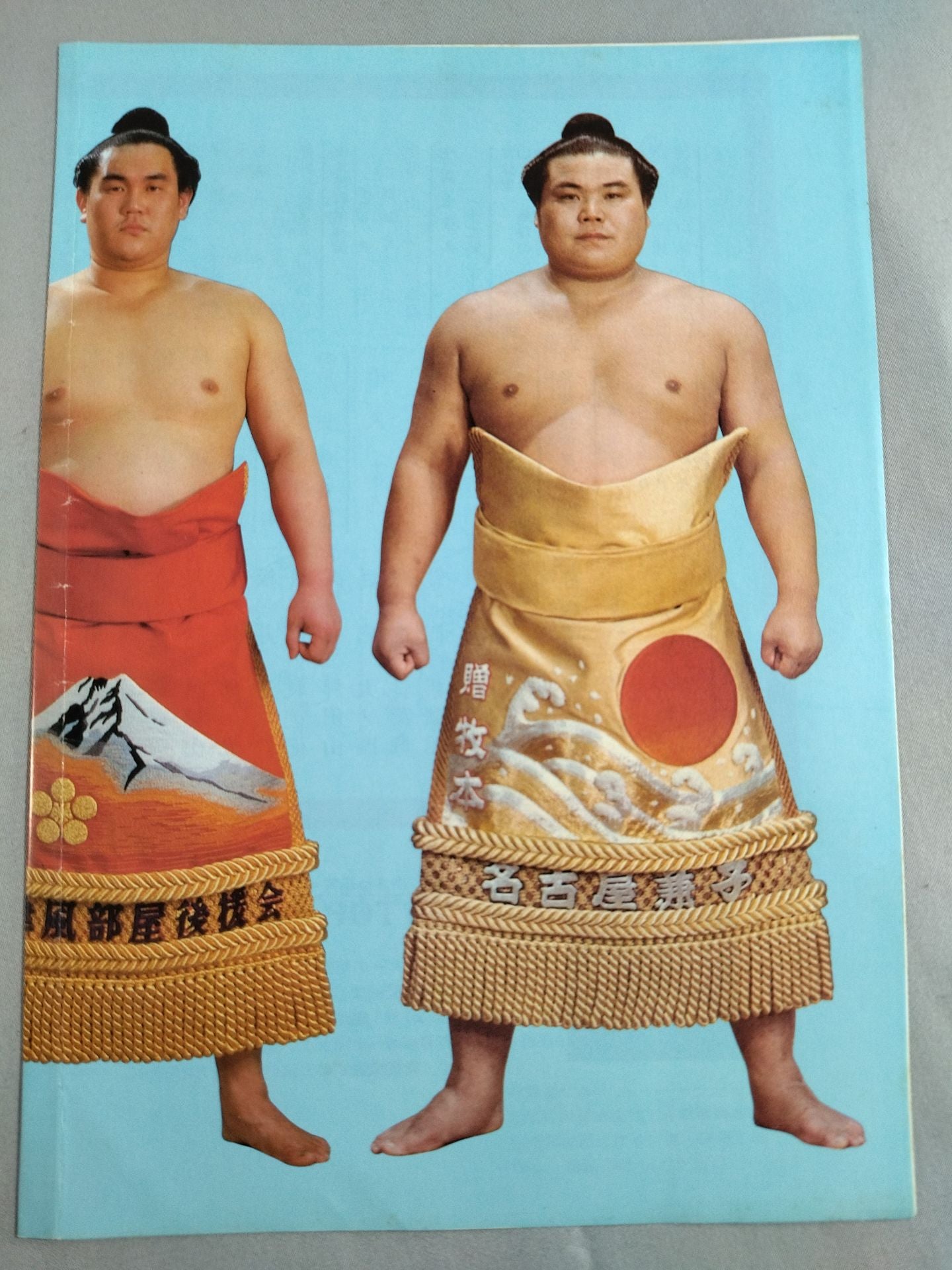 双津竜引退・錦島襲名 山口、牧本引退 披露大相撲 取組表