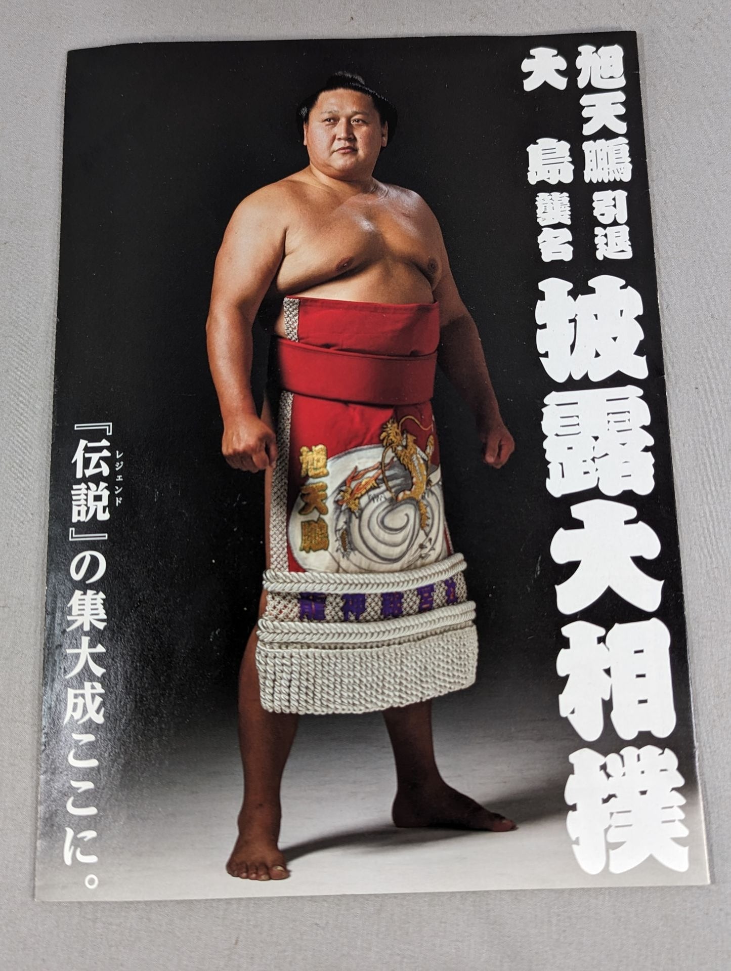 旭天鵬引退・大島襲名 披露大相撲 取組表