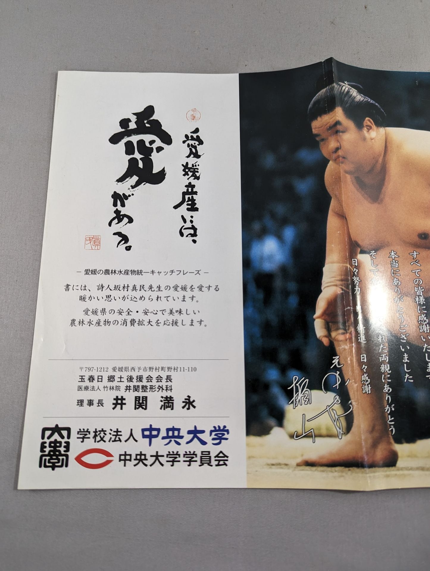 Tama Kasuga retired, Tateyama attack name showcased sumo wrestling list of matches