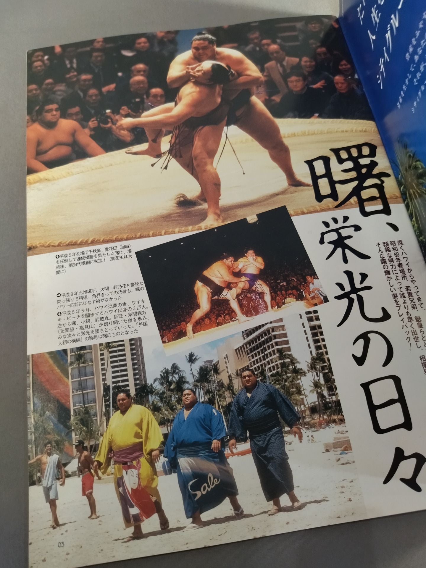 曙引退 披露大相撲 パンフレット