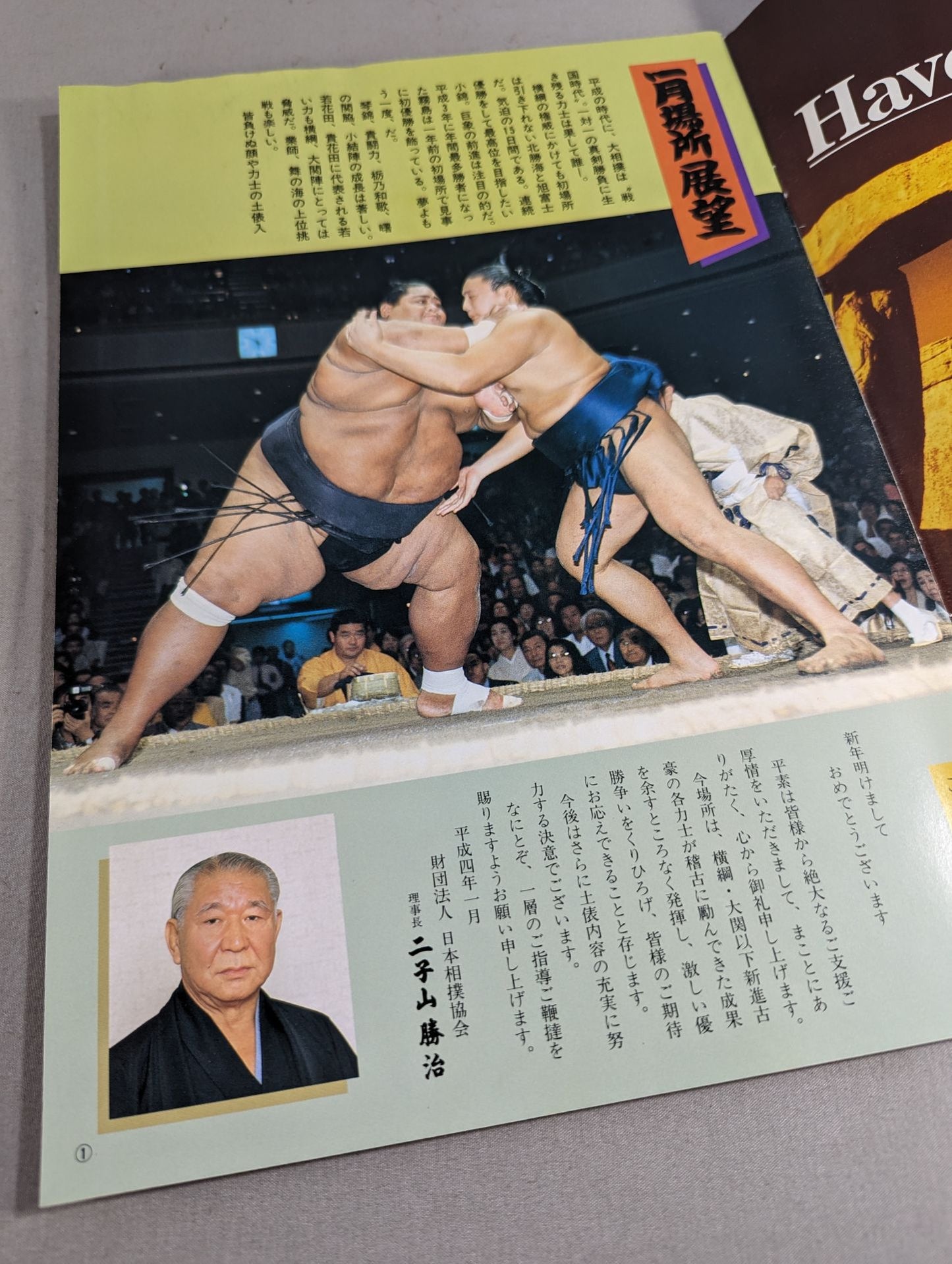 大相撲一月場所(1992年)