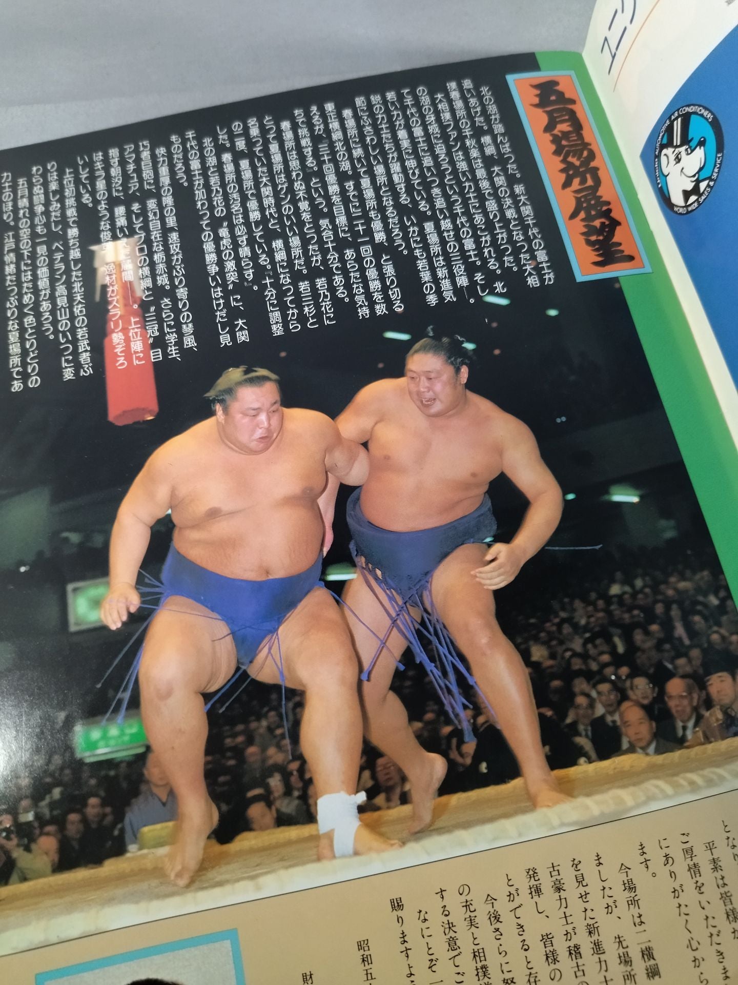 大相撲五月場所(1981年)