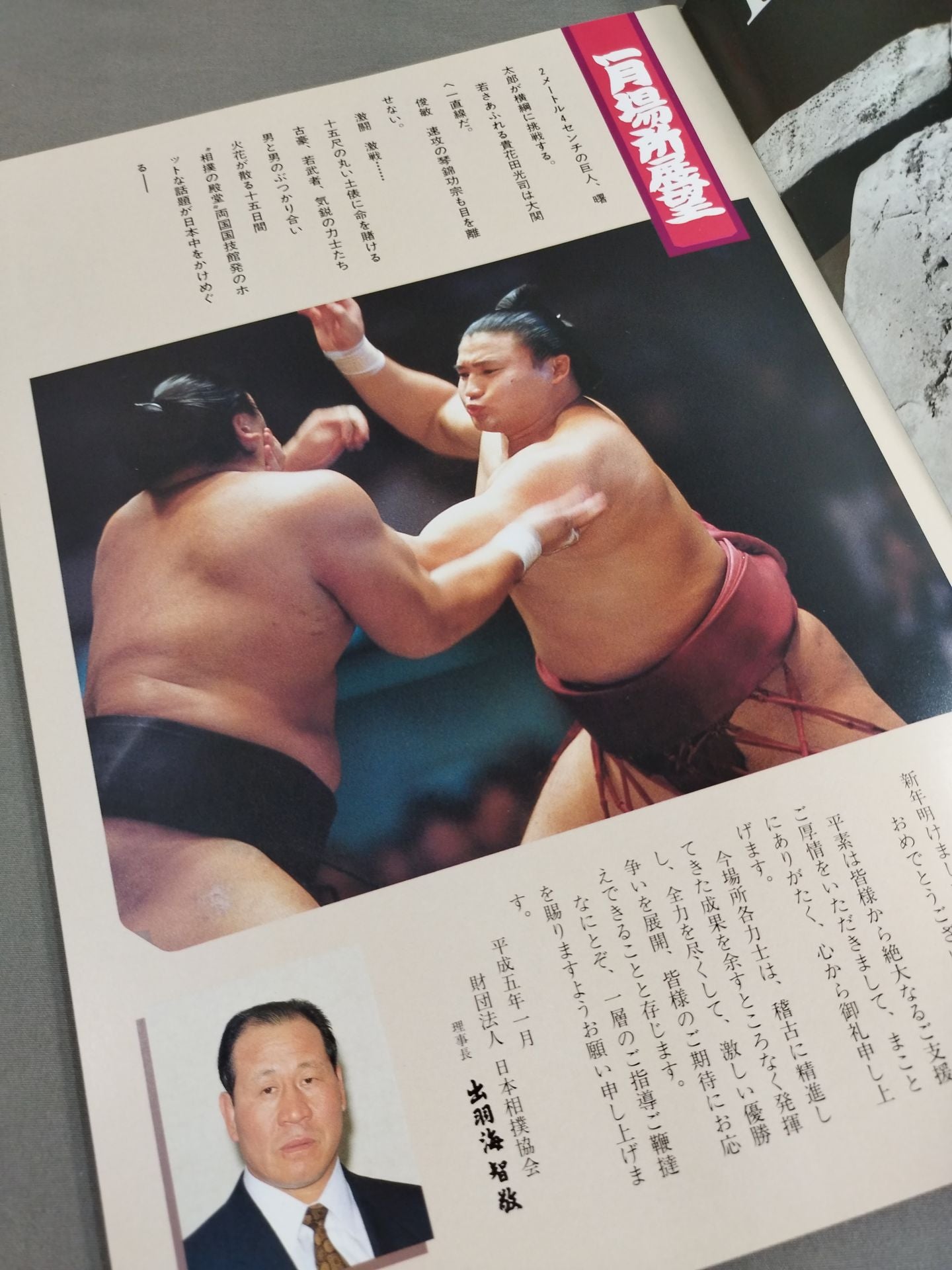 大相撲一月場所(1993年)