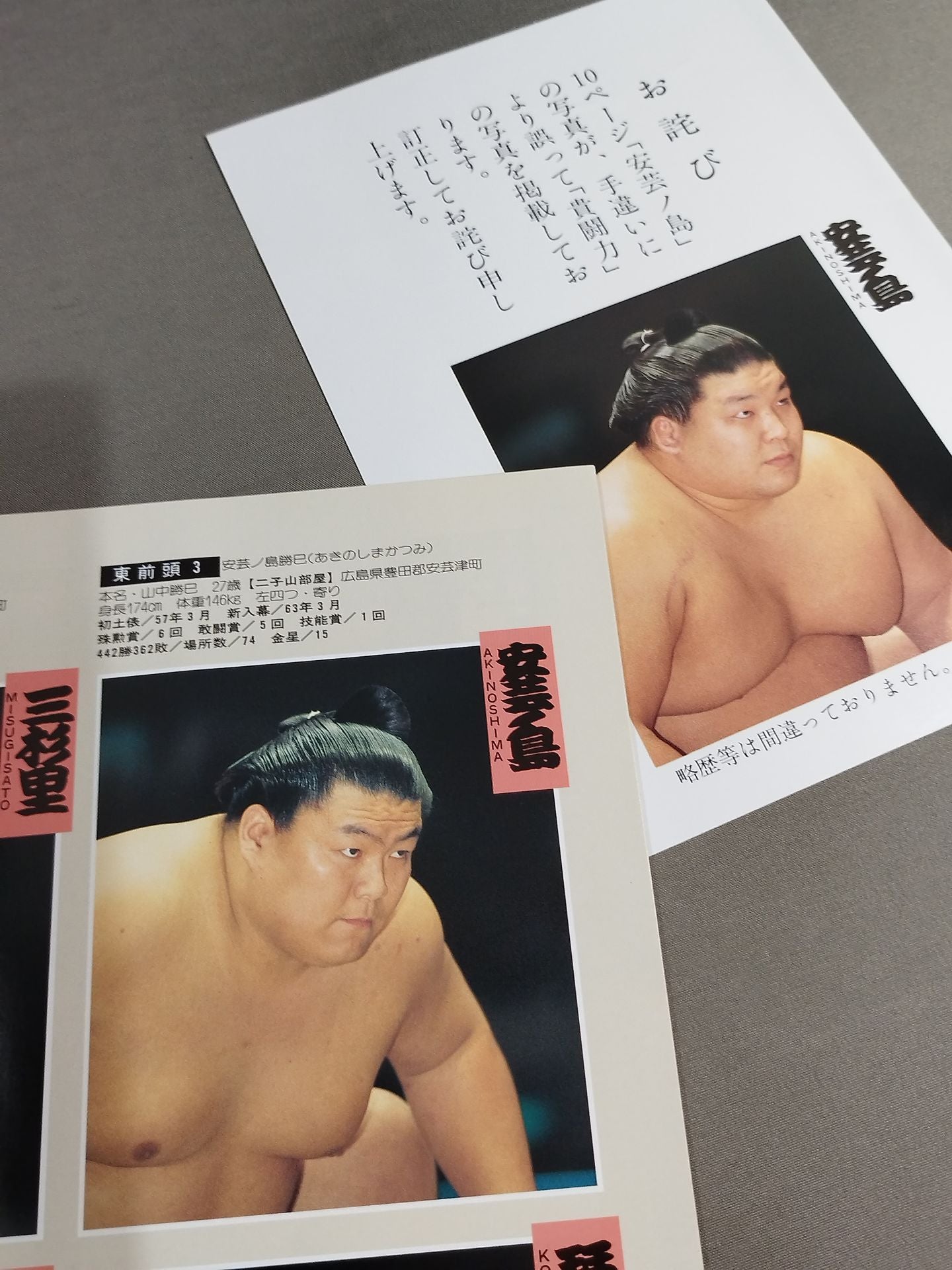 大相撲五月場所(1994年)