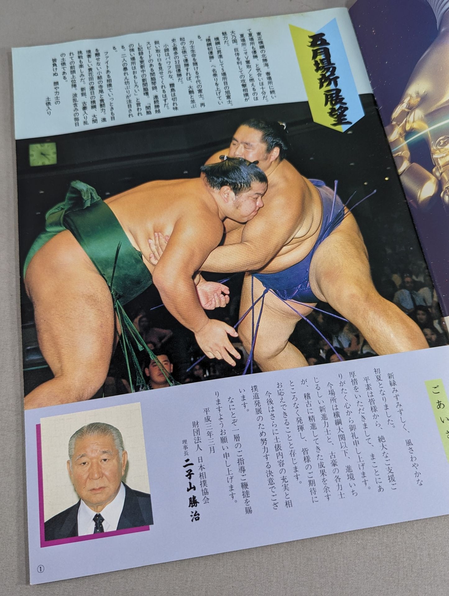 大相撲五月場所(1991年)