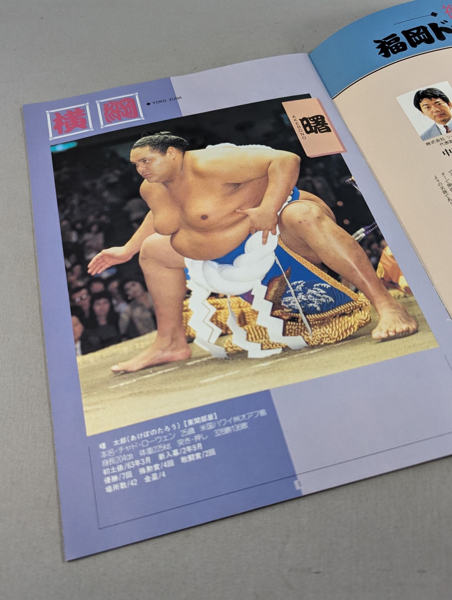 大相撲トーナメント 福岡ドーム場所