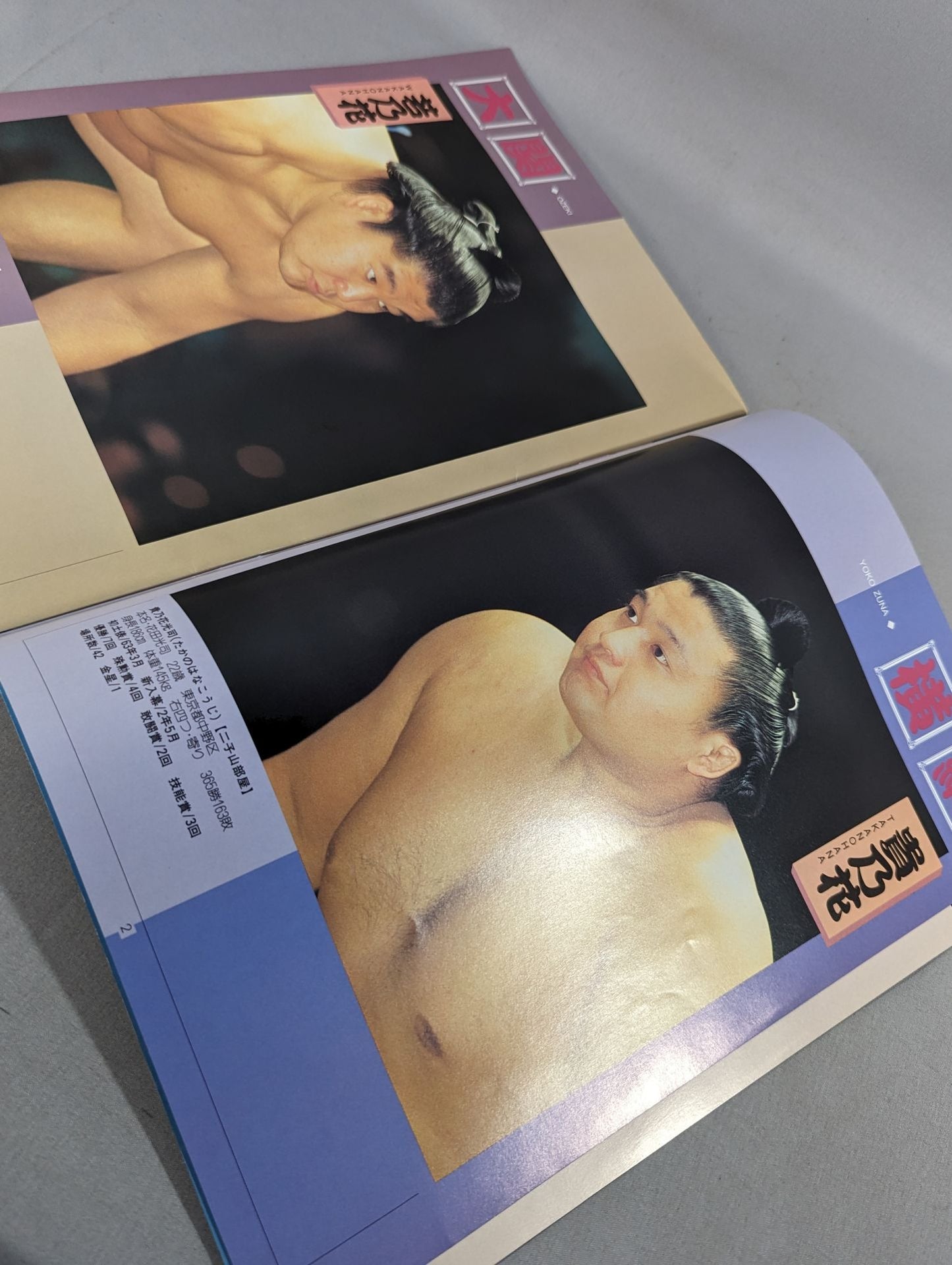大相撲トーナメント 福岡ドーム場所