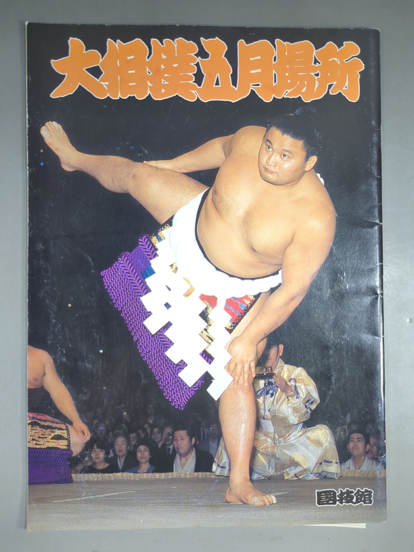 大相撲五月場所(1996年)