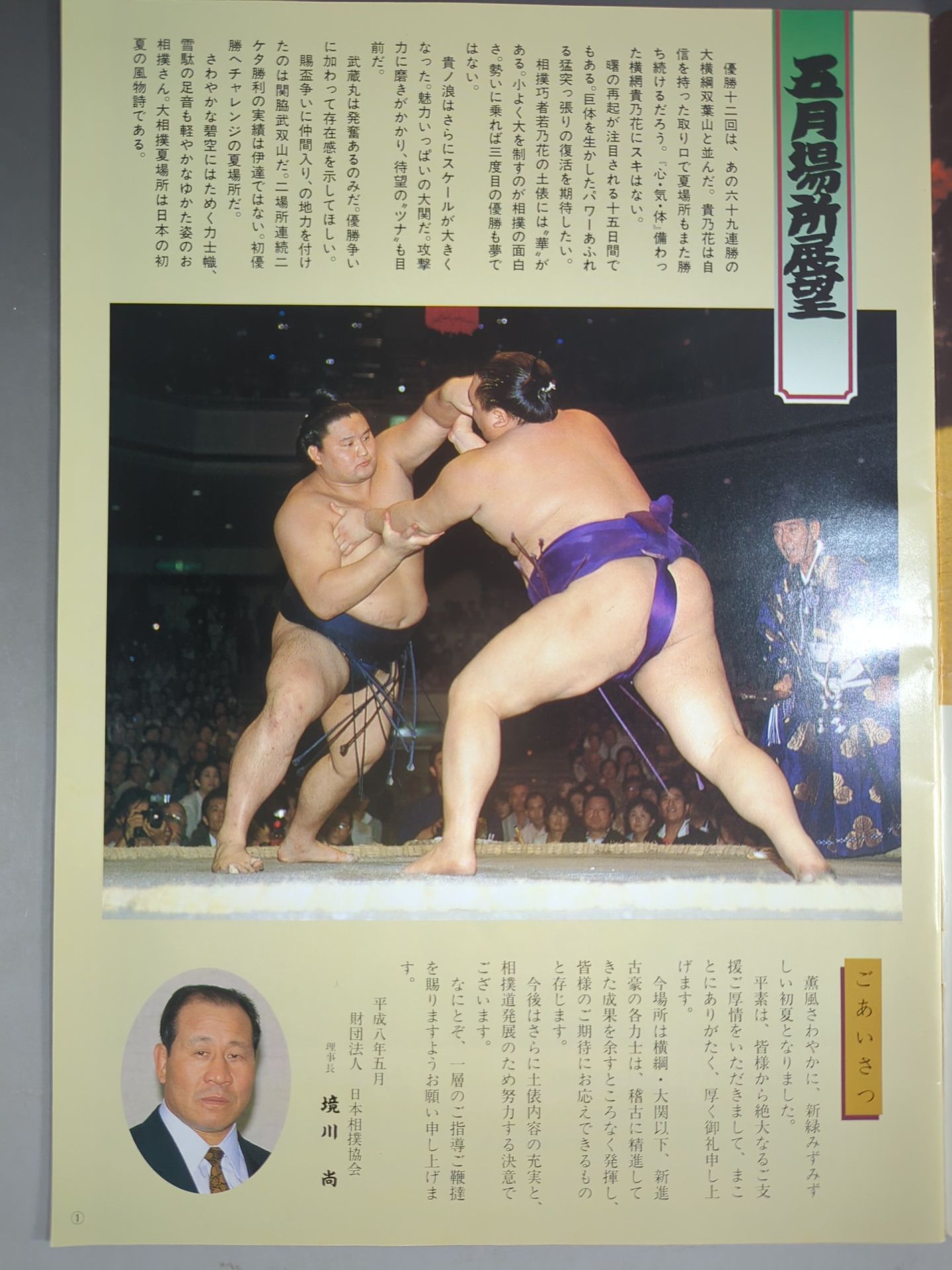 大相撲五月場所(1996年)