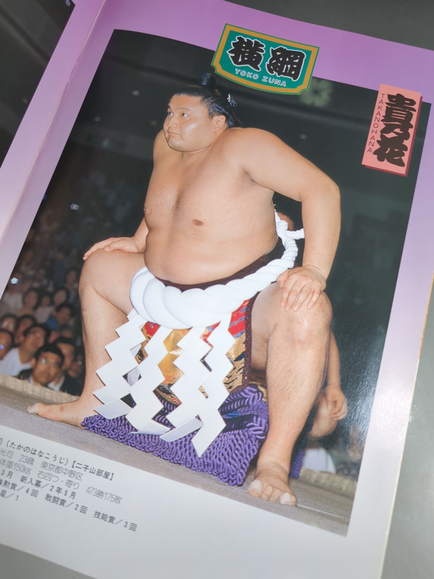 大相撲五月場所(1996年)