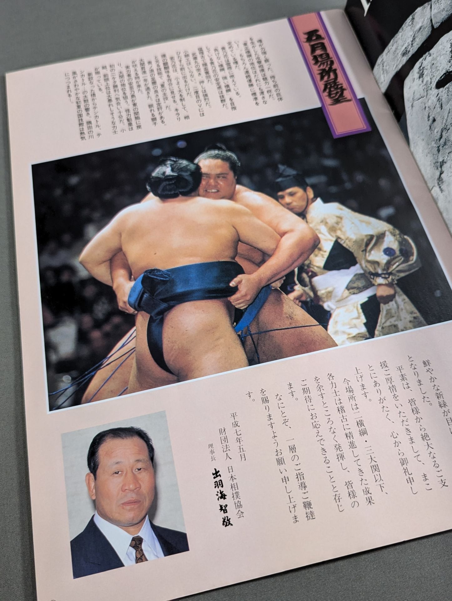大相撲五月場所(1995年)