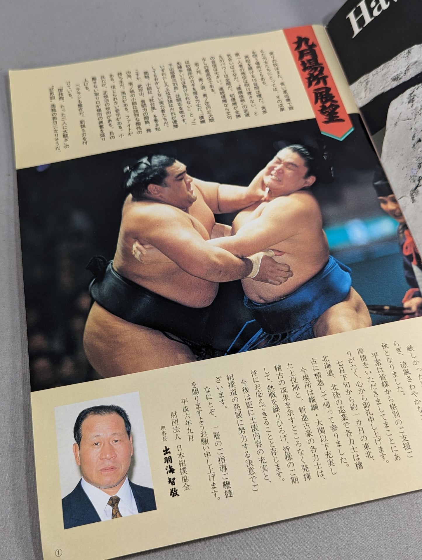 大相撲九月場所(1994年)