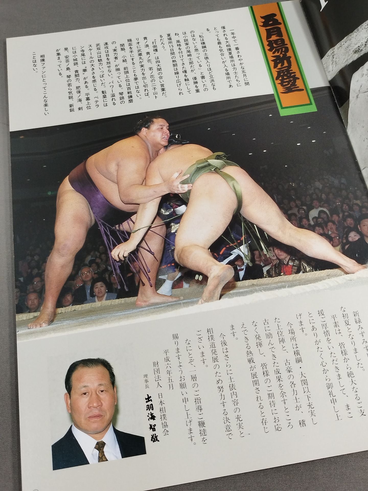 大相撲五月場所(1994年)