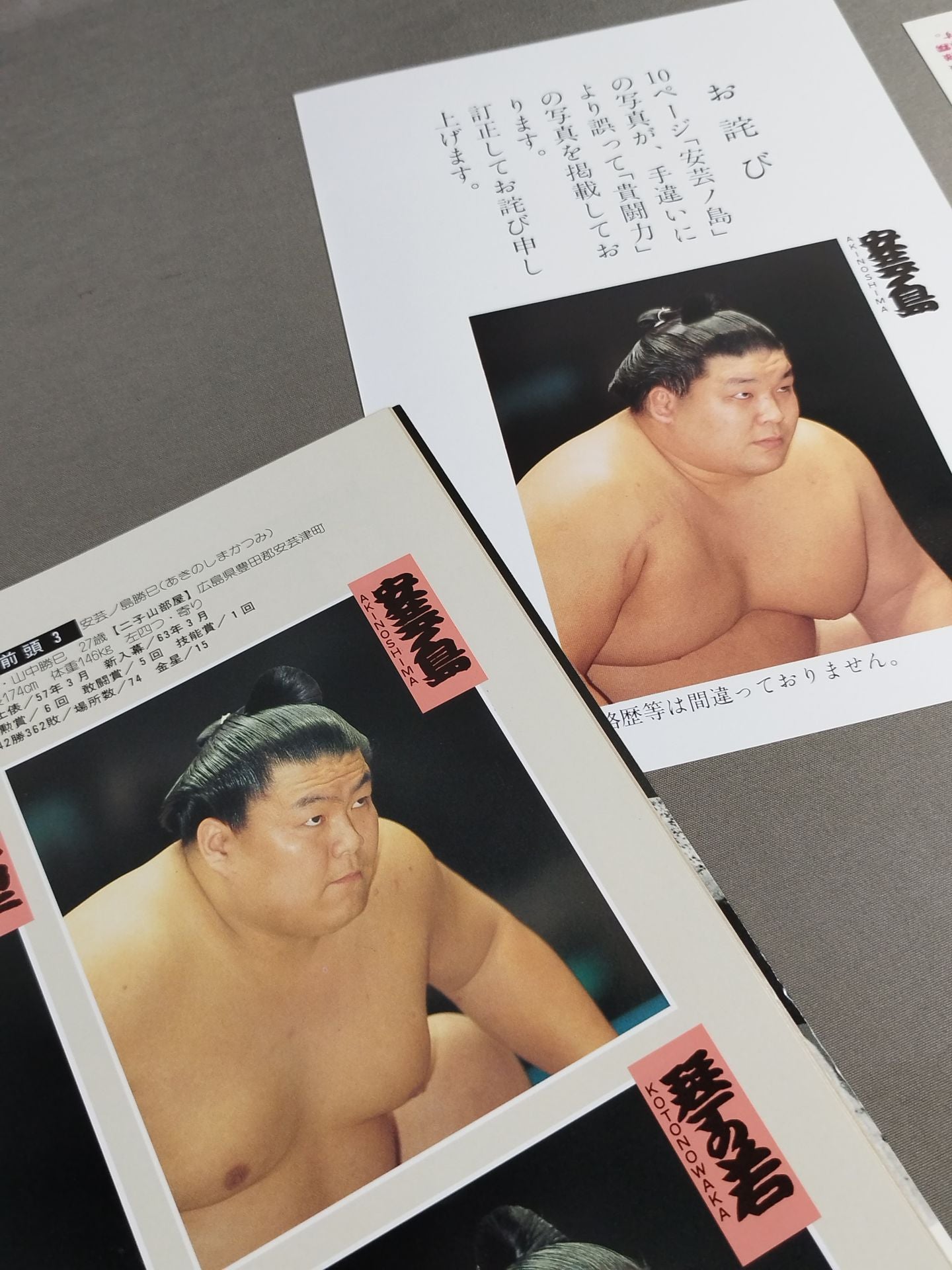 大相撲五月場所(1994年)