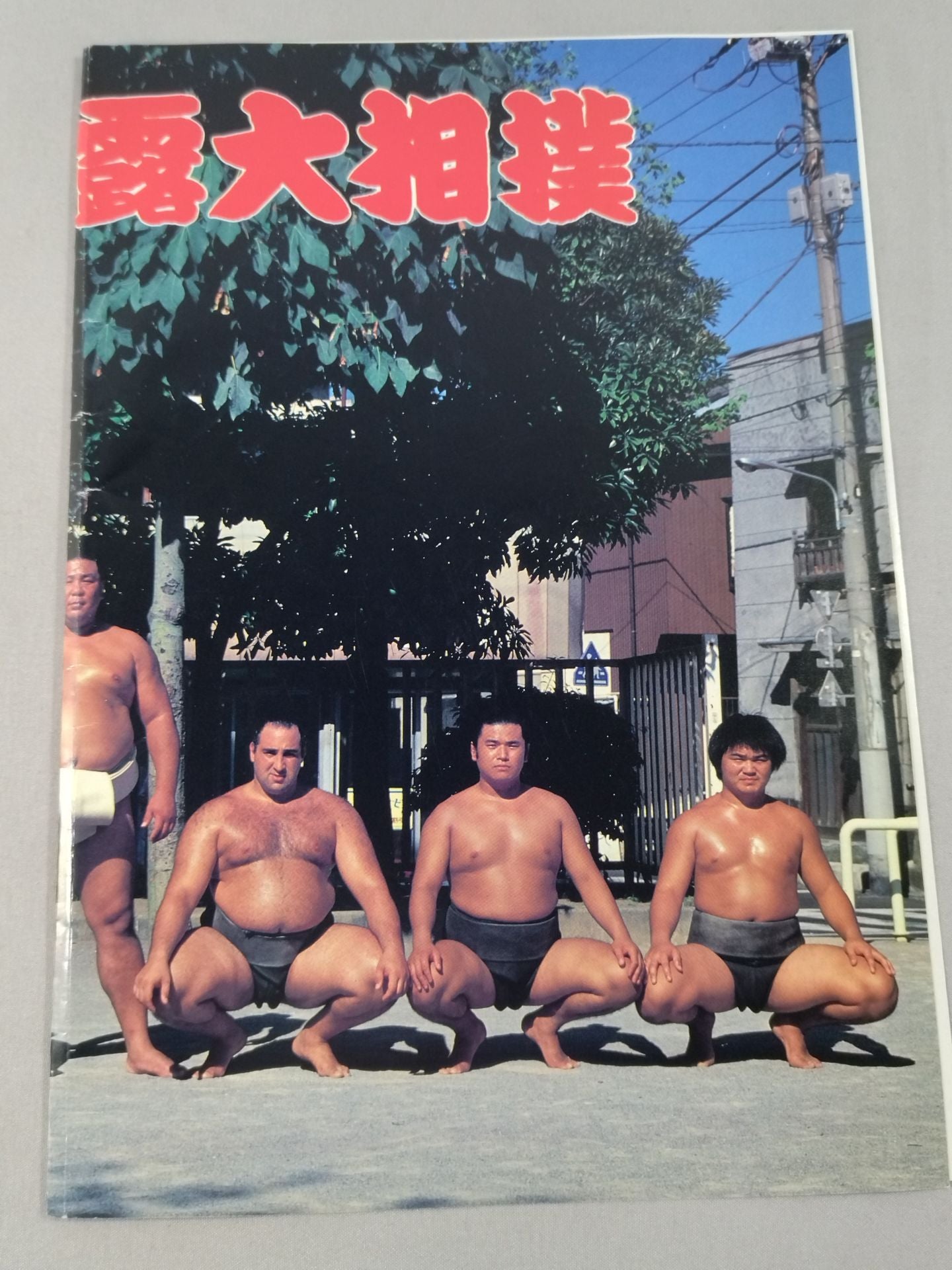 Hoshiiwato retirement, Mutsu raid name list of matches