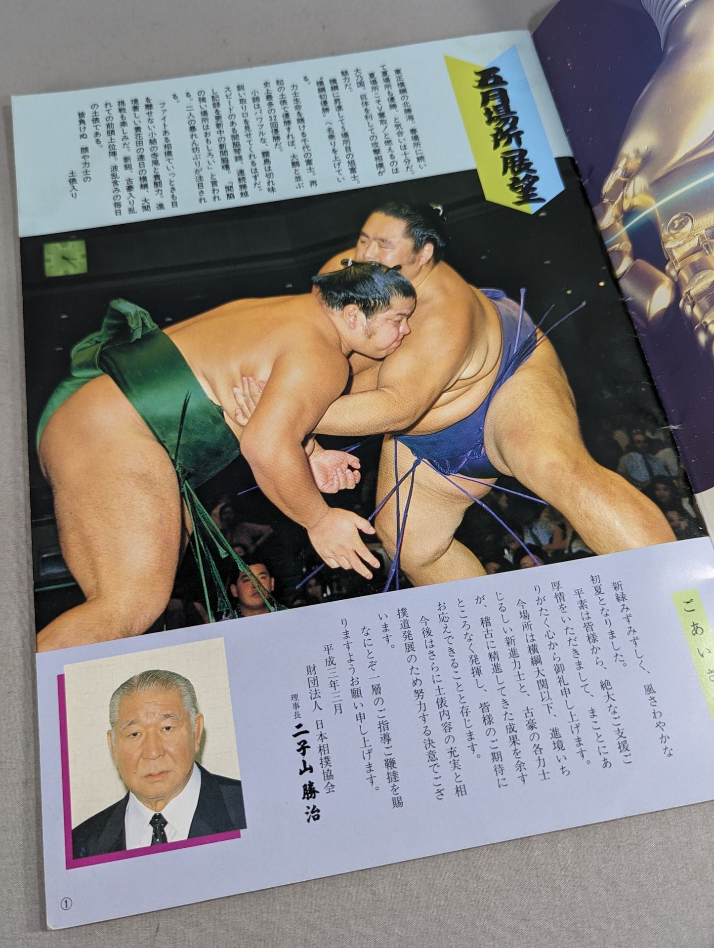 大相撲五月場所(1991年)