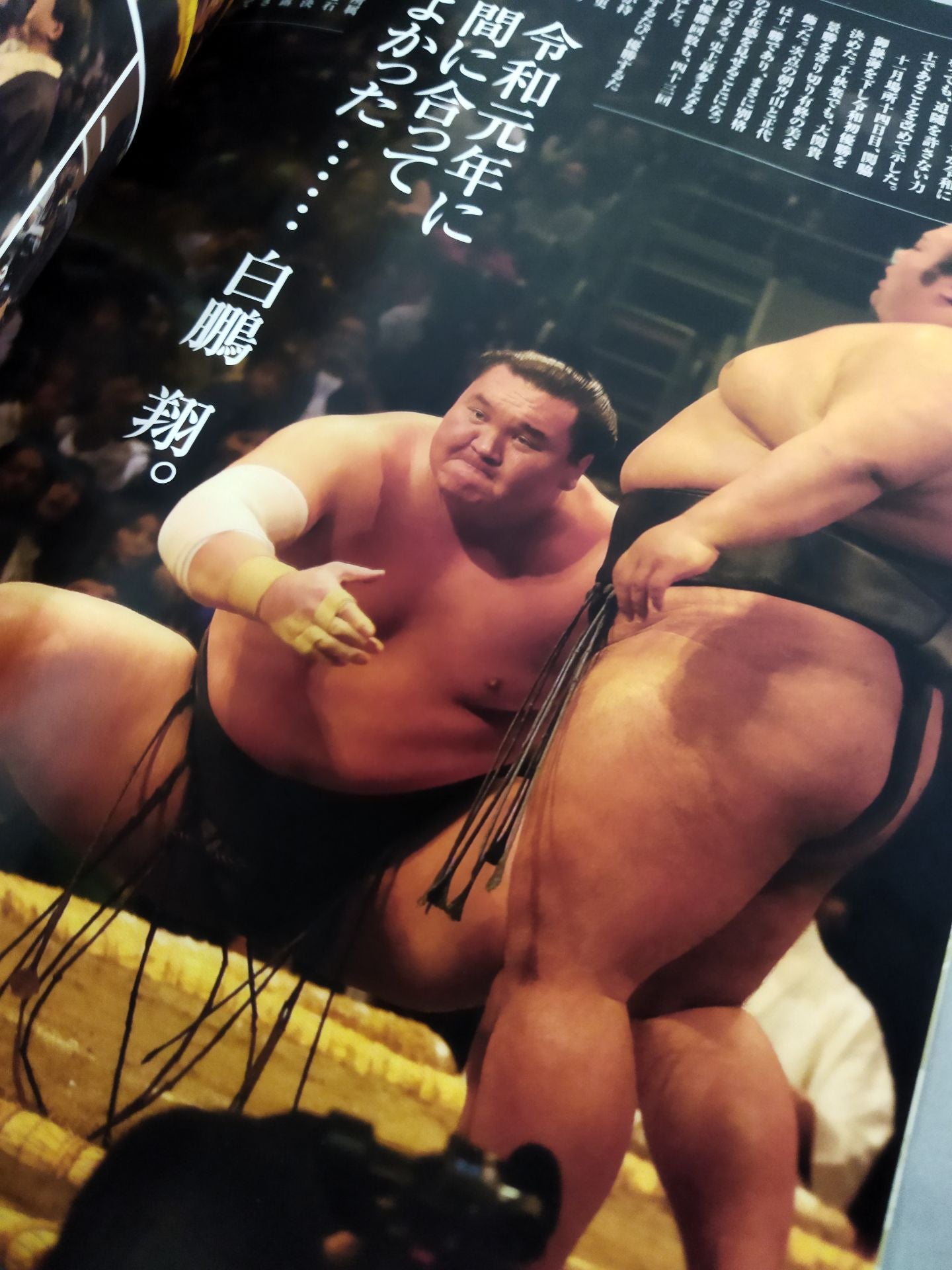 大相撲一月場所(2020年)