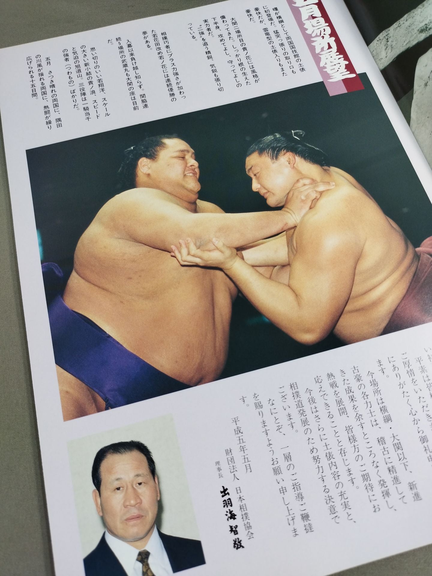 大相撲五月場所(1993年)