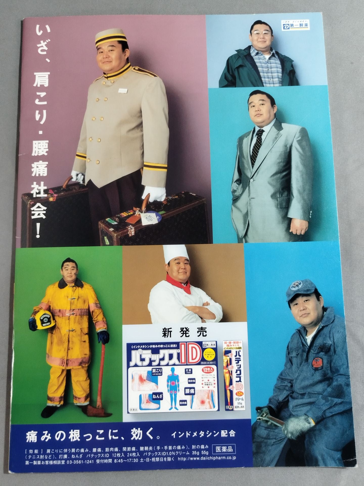Wakanohana  Retirement, Fujishima Raida Grand Sumo Brochure