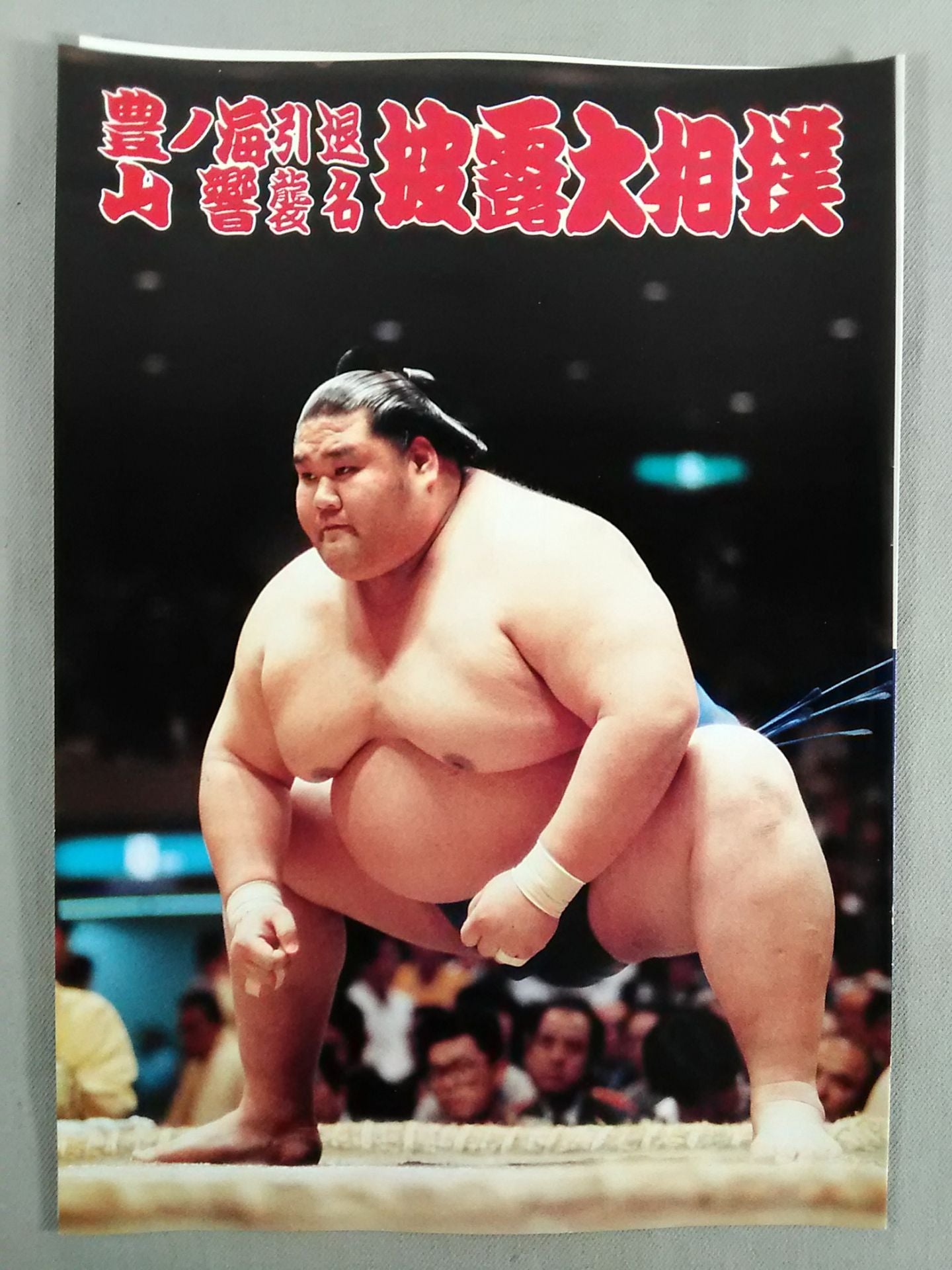 Toyonoumi Retirement, Yamakyo Raid Name Showcase Sumo List of Matches