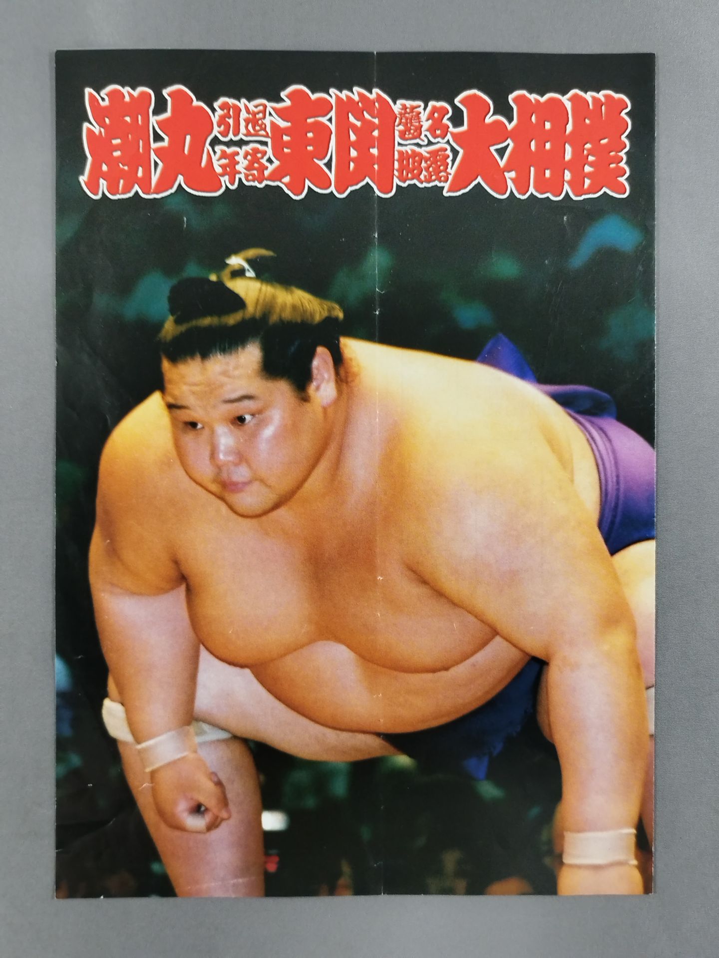 潮丸引退・東関襲名 披露大相撲 取組表