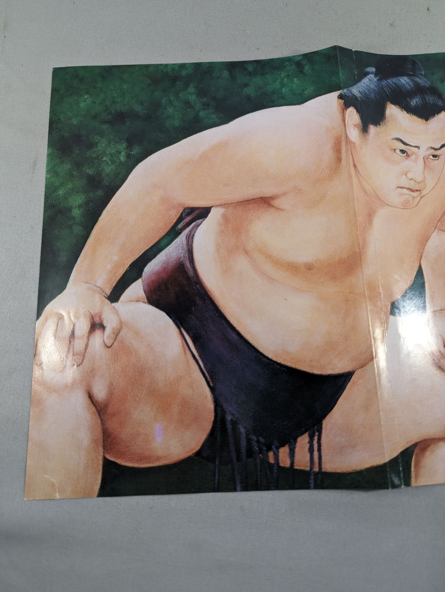 濱ノ嶋引退・尾上襲名 披露大相撲 取組表