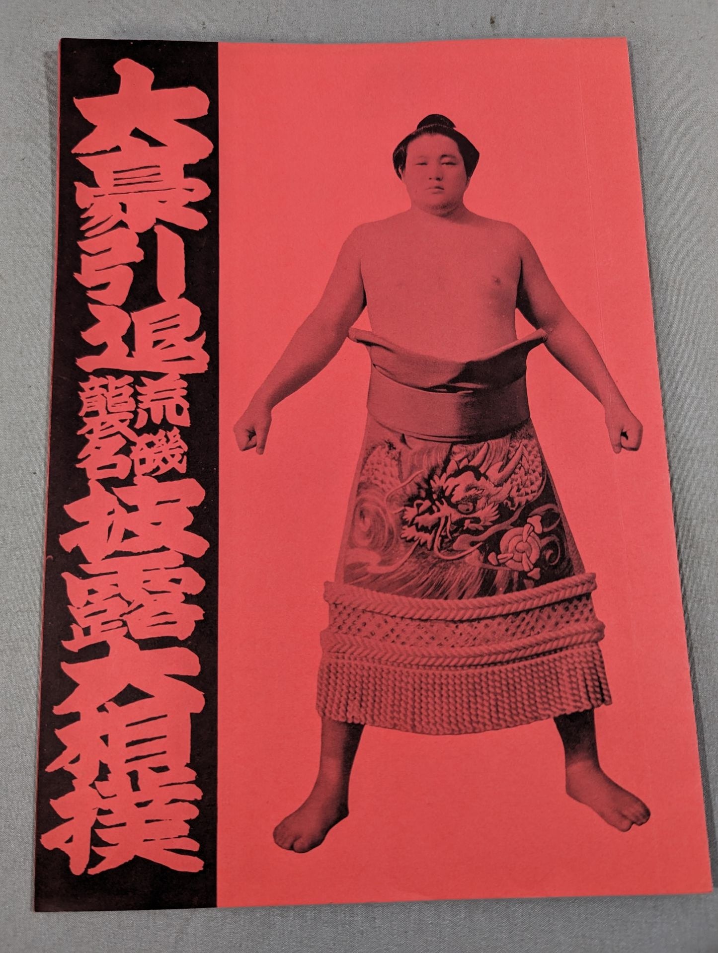 Daigo retirement, Araiso raid name Sumo list of matches